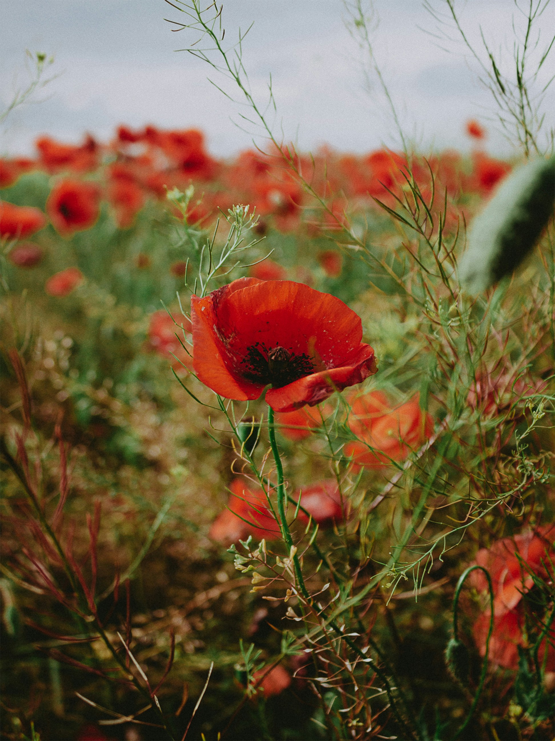 Photo by freddieaddery