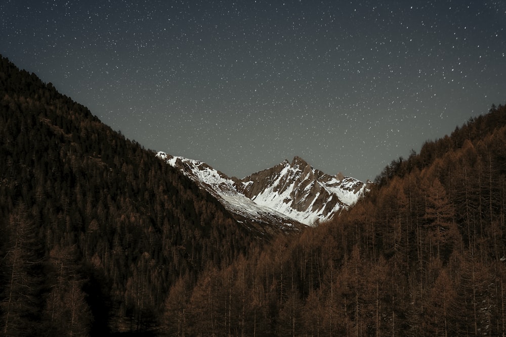 a snowy mountain range with trees in the foreground