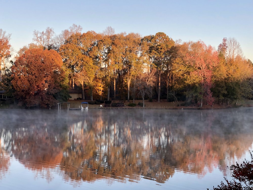 a body of water surrounded by trees in the fall