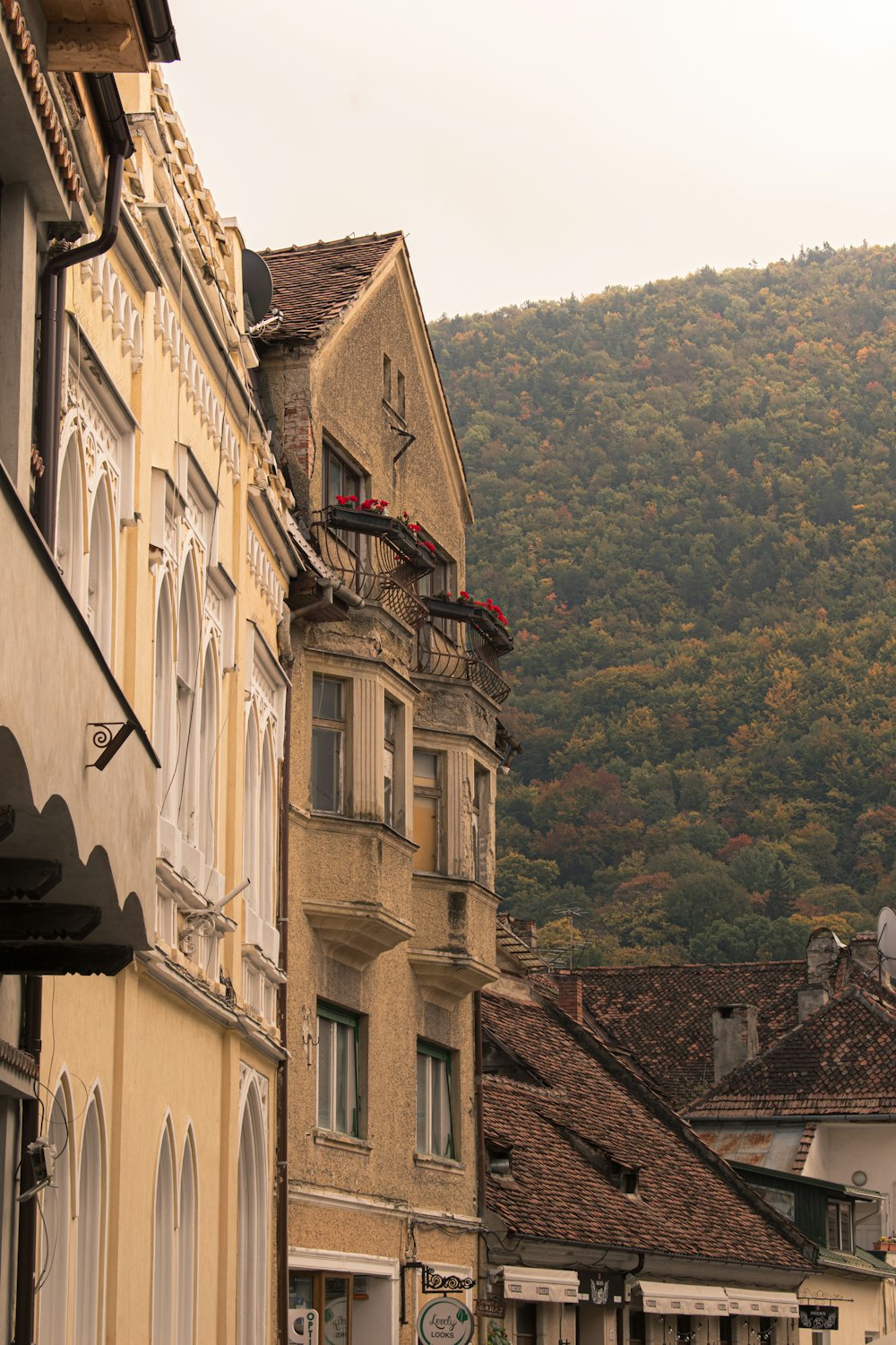 a row of buildings with a mountain in the background