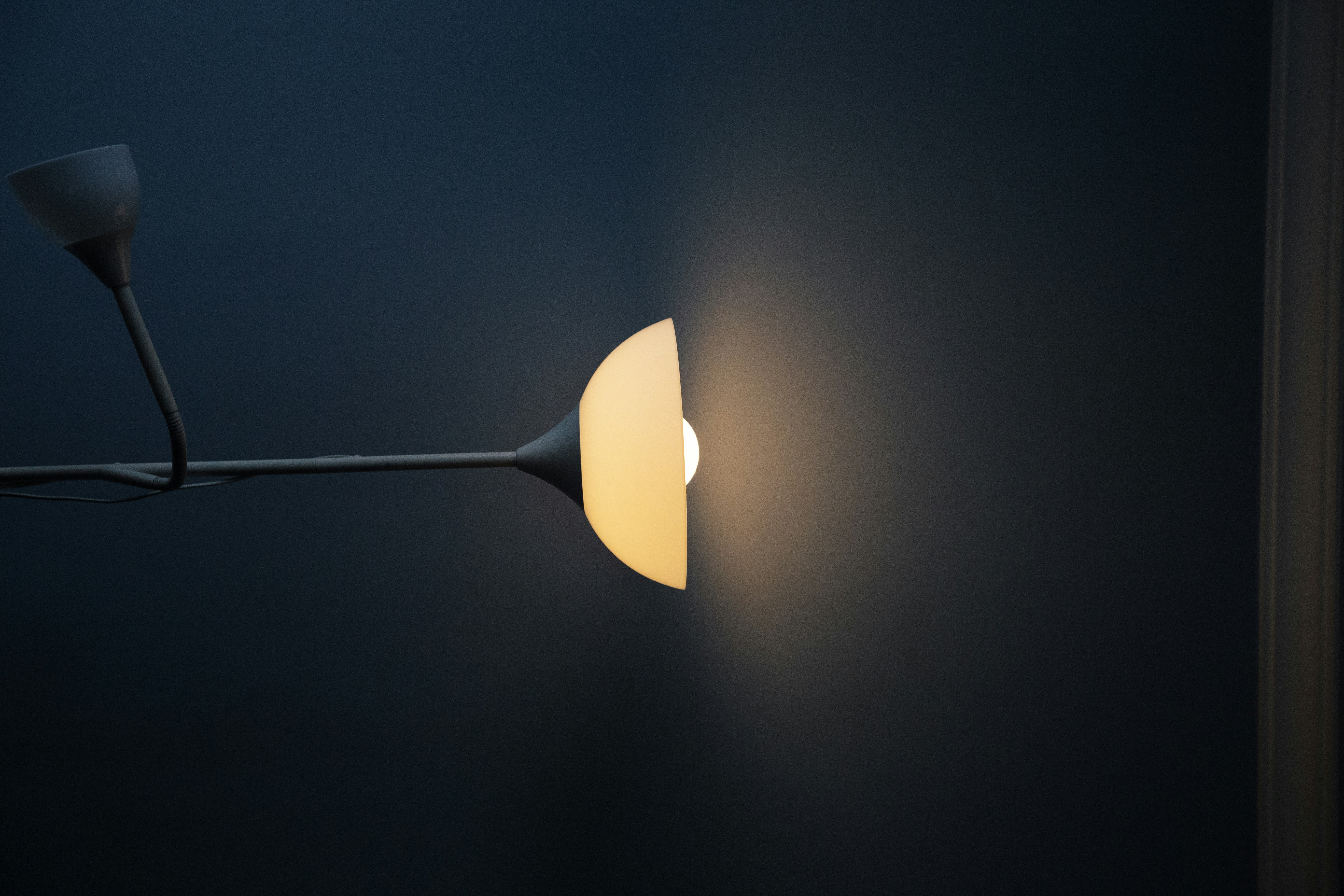 Photo by longlitsense