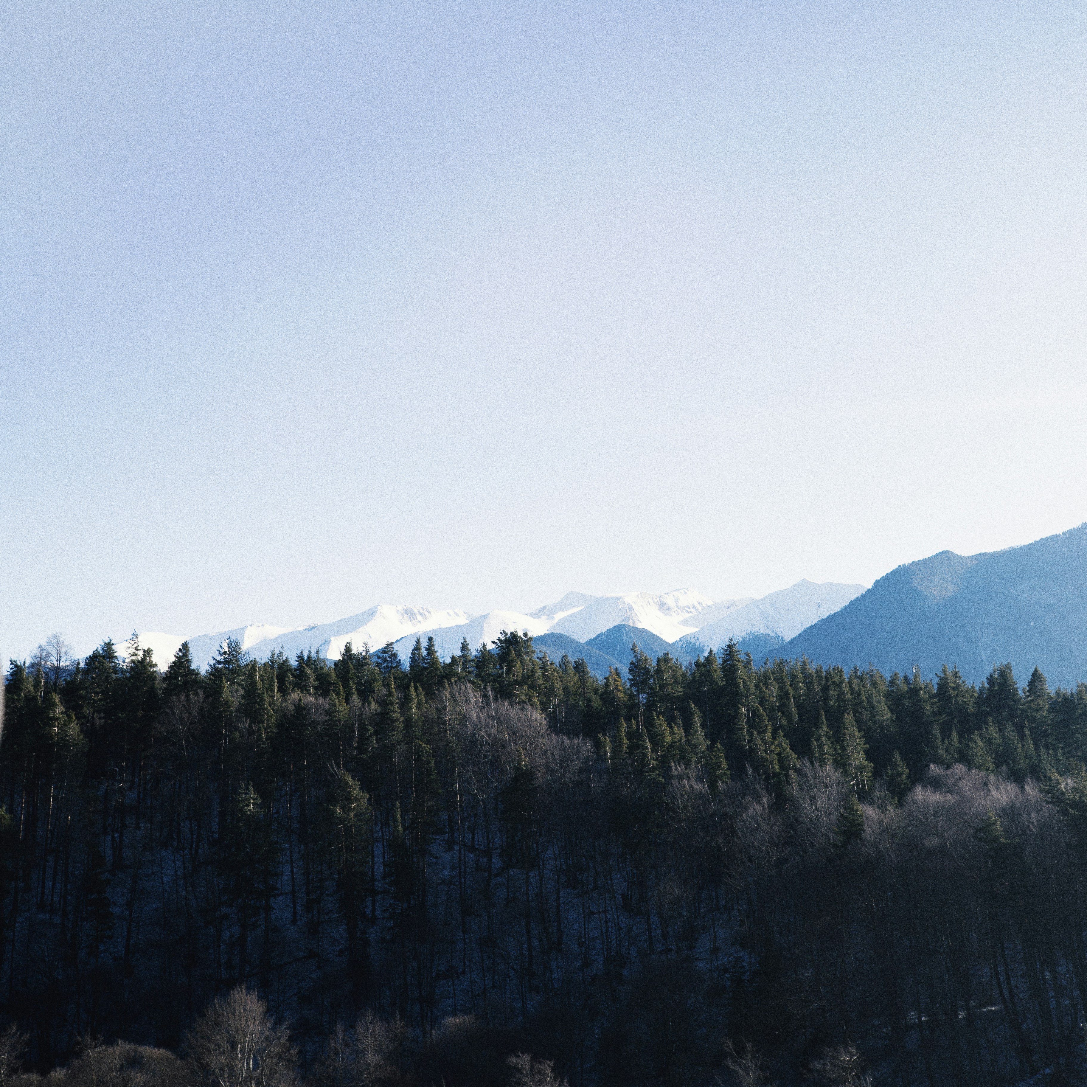 Photo by longlitsense