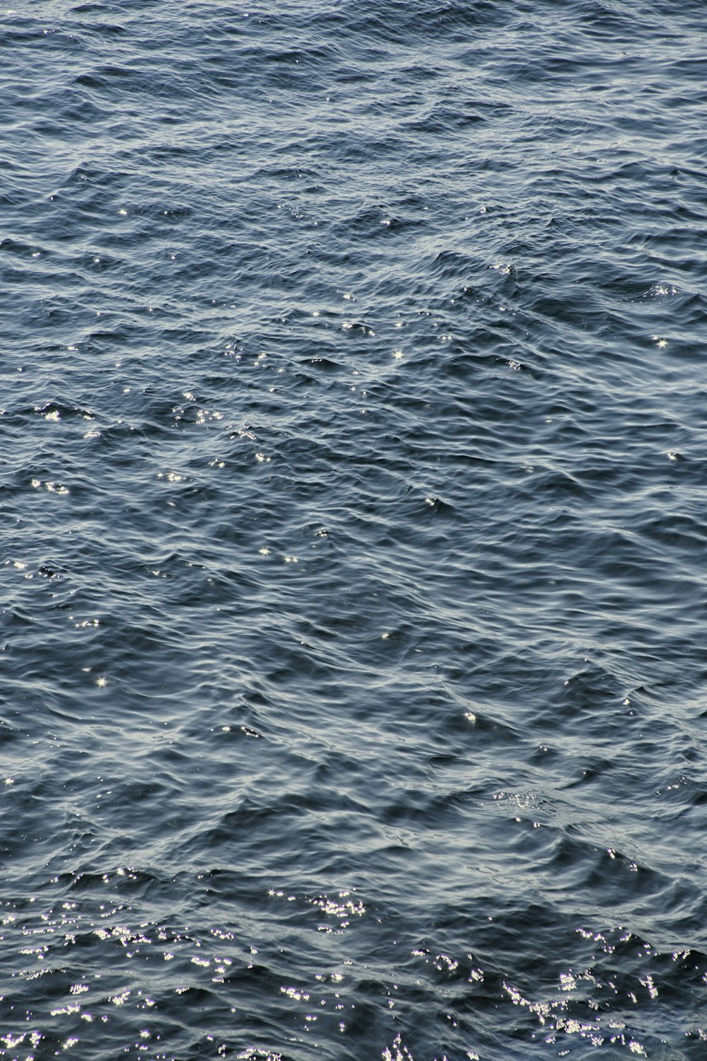 a large body of water with small waves