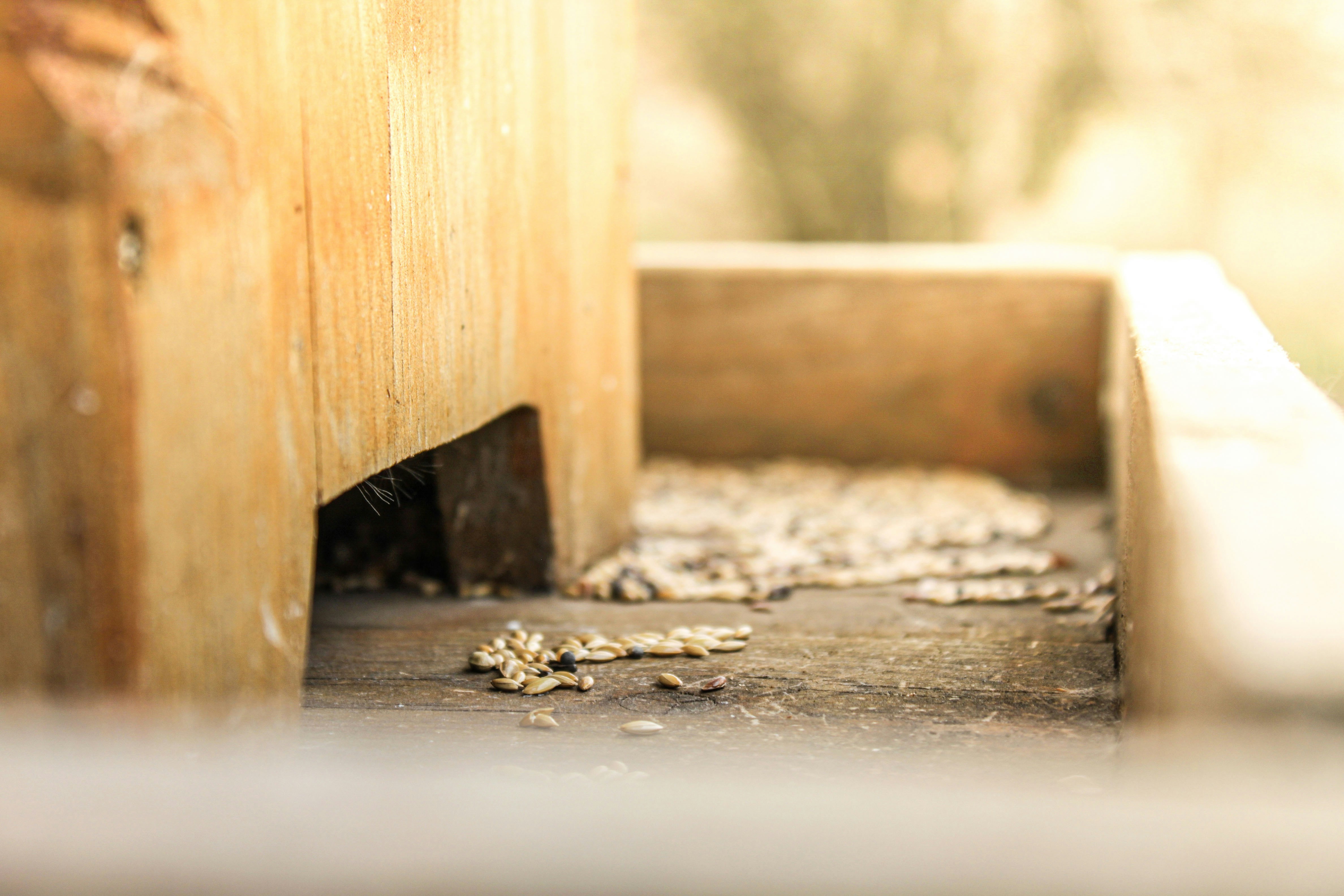 Photo by lorena_preda