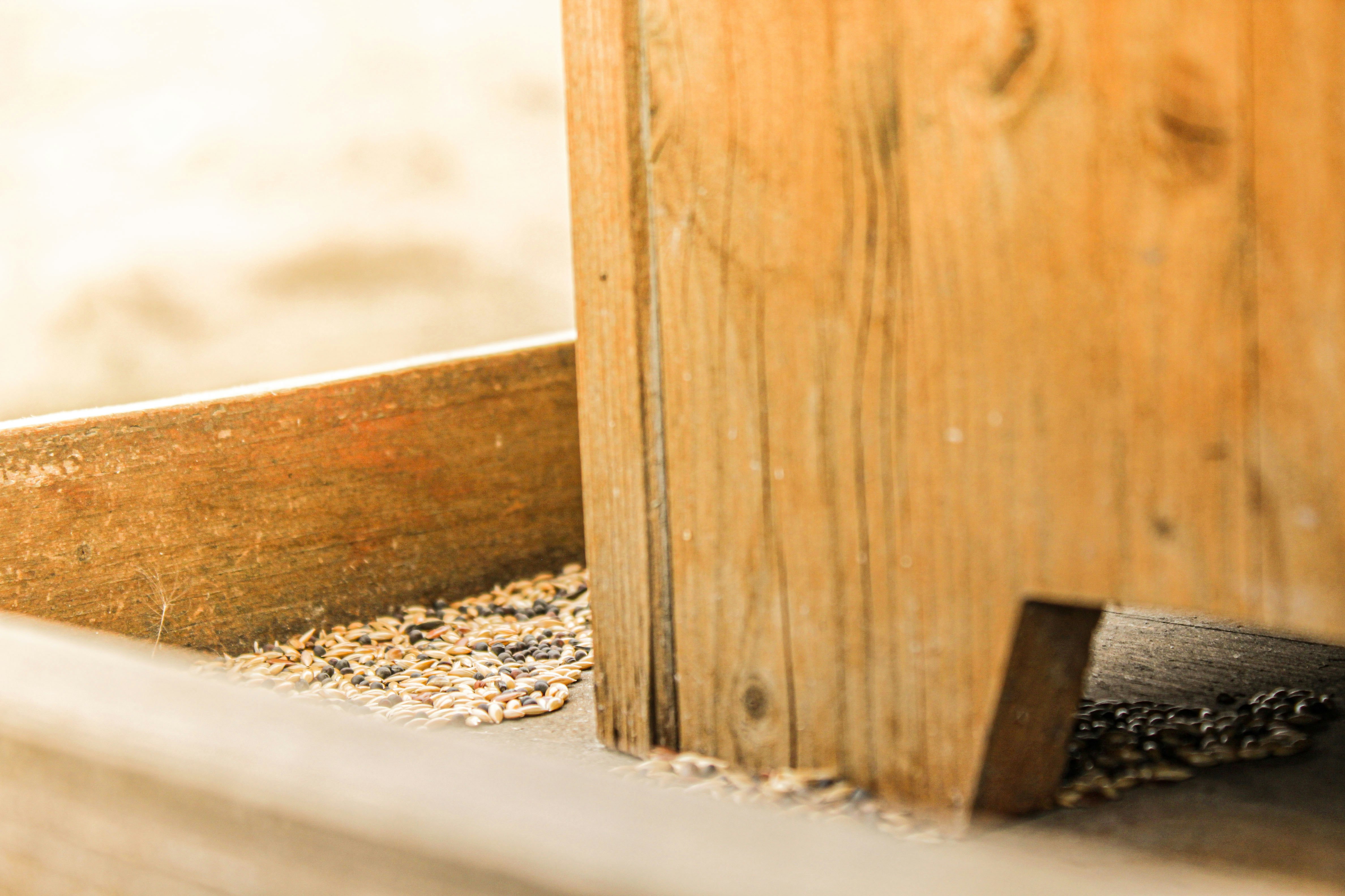 Photo by lorena_preda