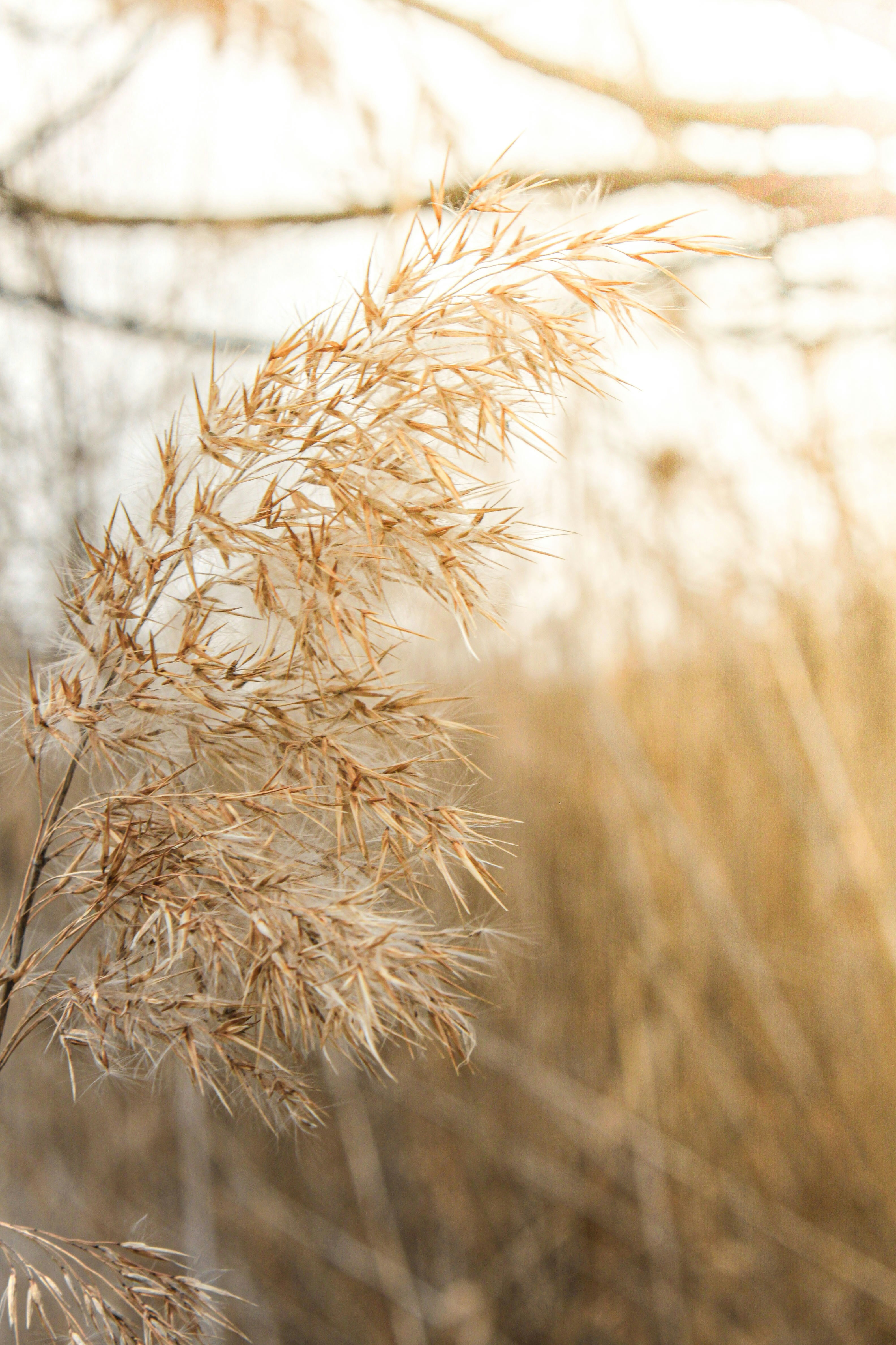 Photo by lorena_preda