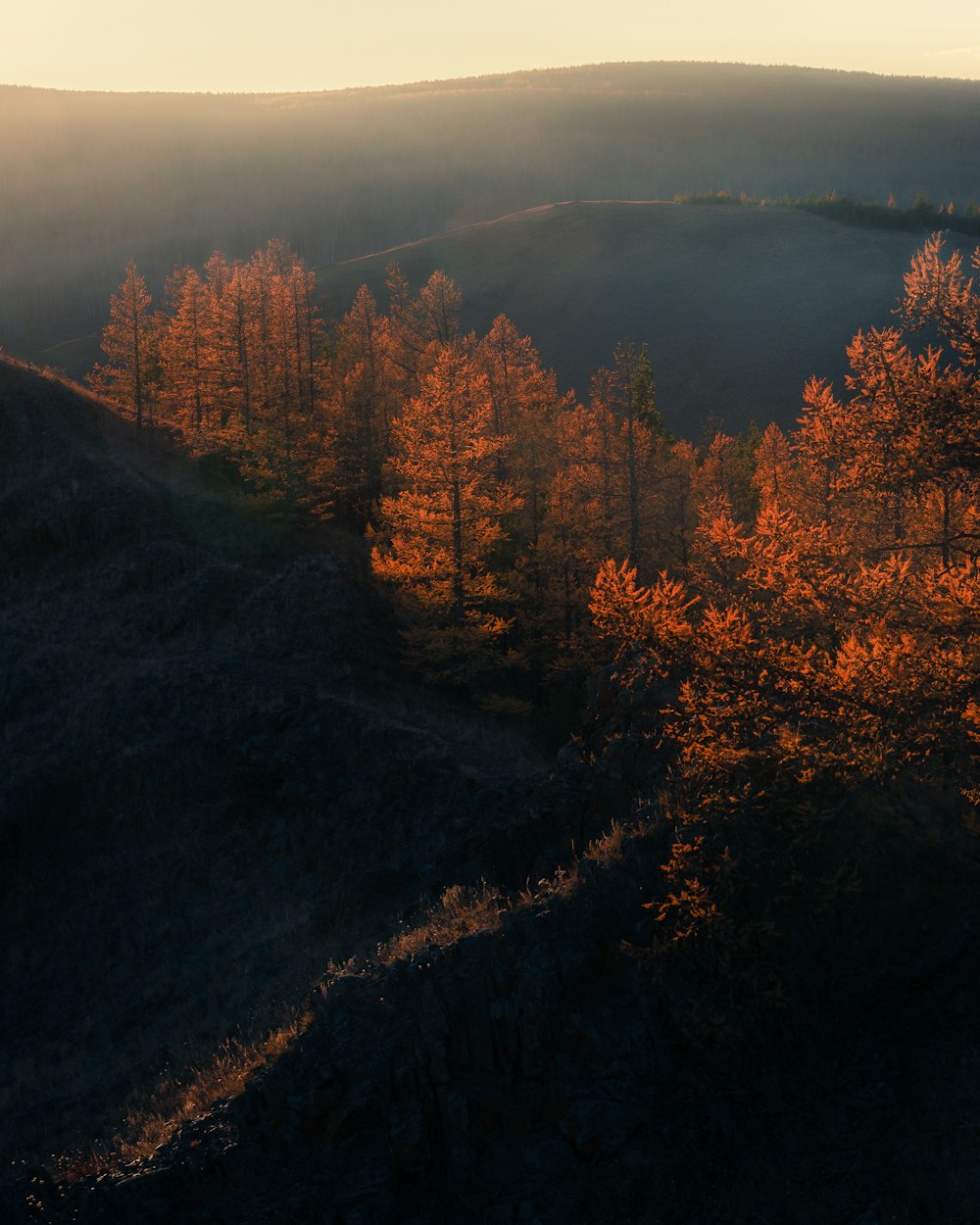 a view of a sunset