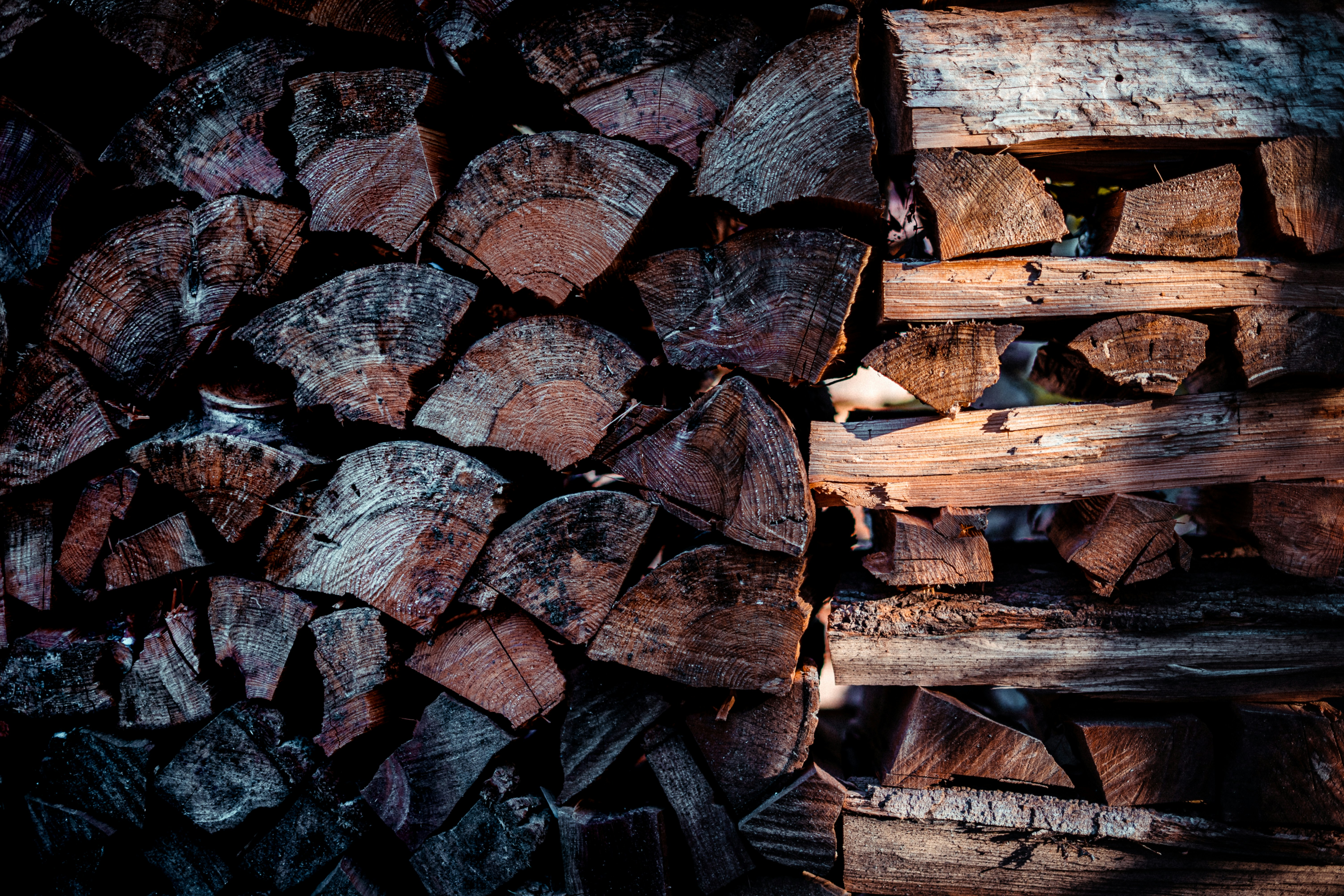 Photo by chrishardyphotography