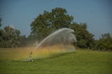 A large, open green field with a sprinkler system is actively watering the area, creating a visible arc of water. A faint rainbow effect is visible where the sunlight intersects with the water spray. In the background, dense clusters of tall, leafy trees border the field under a clear blue sky.