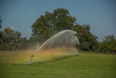 A large, open green field with a sprinkler system is actively watering the area, creating a visible arc of water. A faint rainbow effect is visible where the sunlight intersects with the water spray. In the background, dense clusters of tall, leafy trees border the field under a clear blue sky.