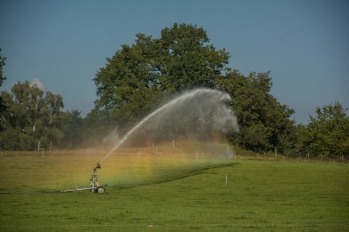A large, open green field with a sprinkler system is actively watering the area, creating a visible arc of water. A faint rainbow effect is visible where the sunlight intersects with the water spray. In the background, dense clusters of tall, leafy trees border the field under a clear blue sky.
