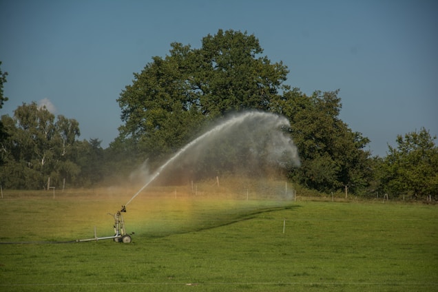A well-maintained green lawn with a sprinkler system in operation under a clear sky