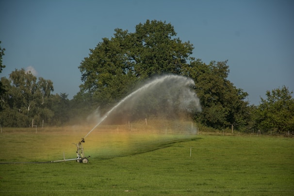 A lush green farm field being watered by a sprinkler system under a clear blue sky.