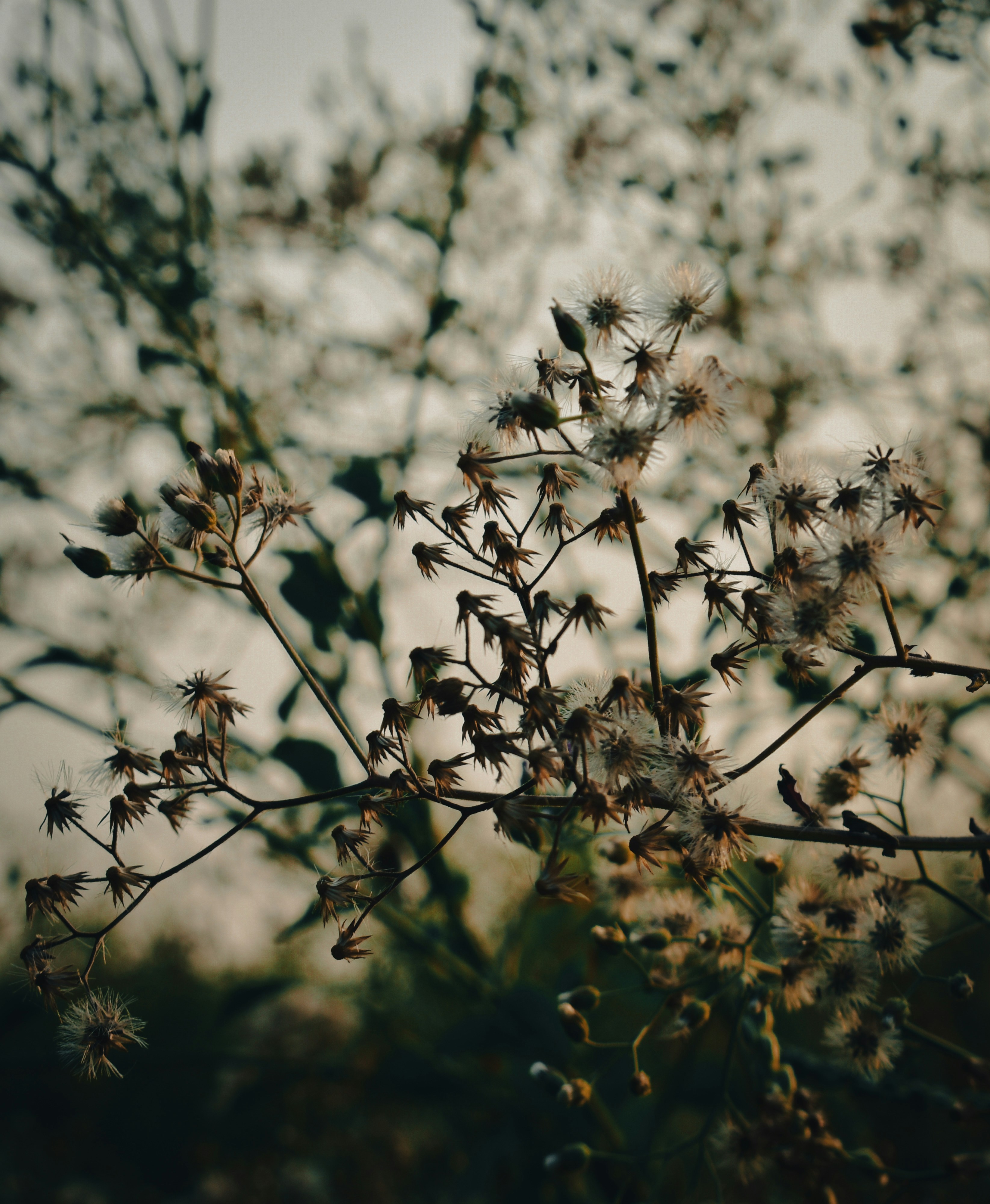 Photo by atomsmasher