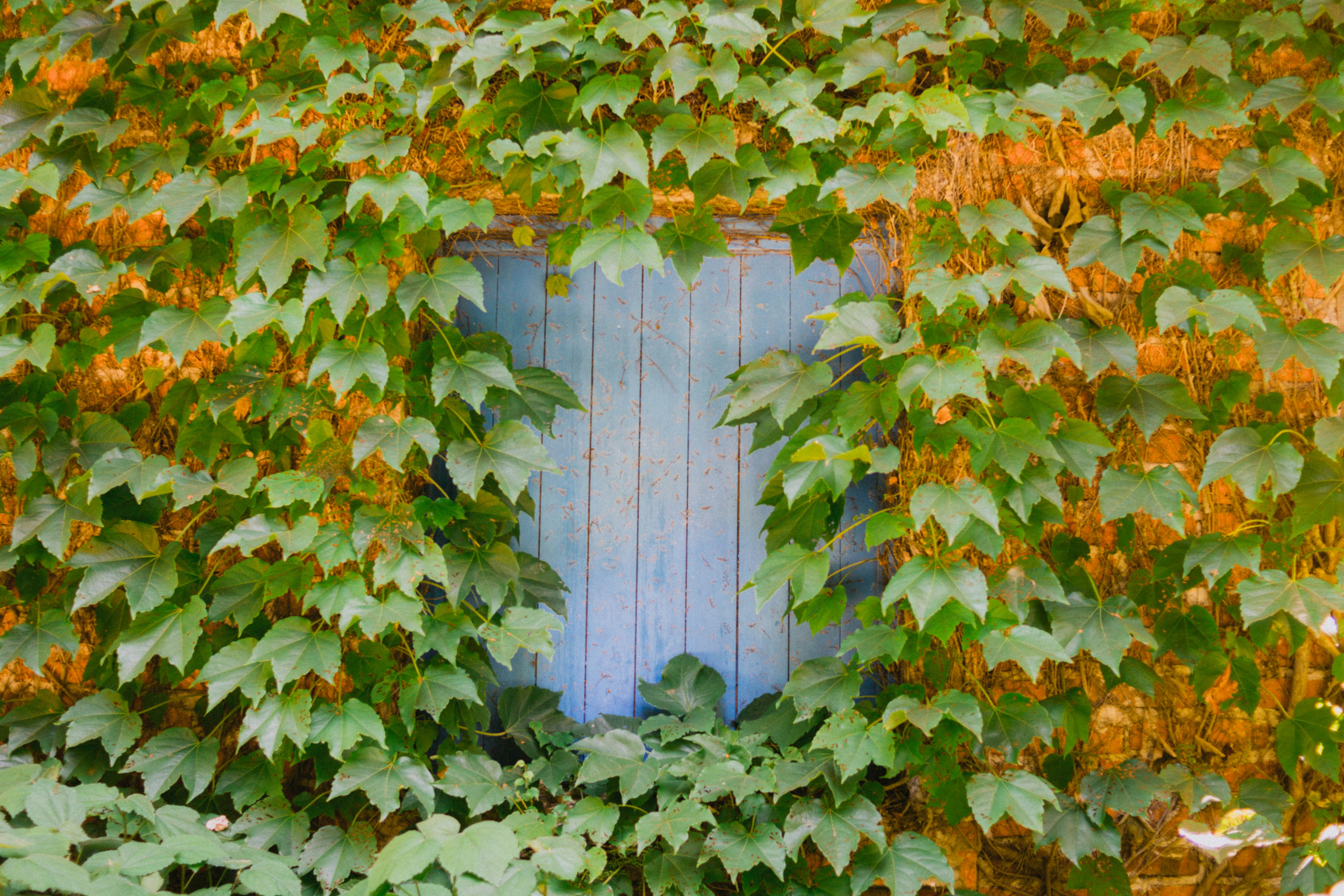 Photo by lucasgwendt