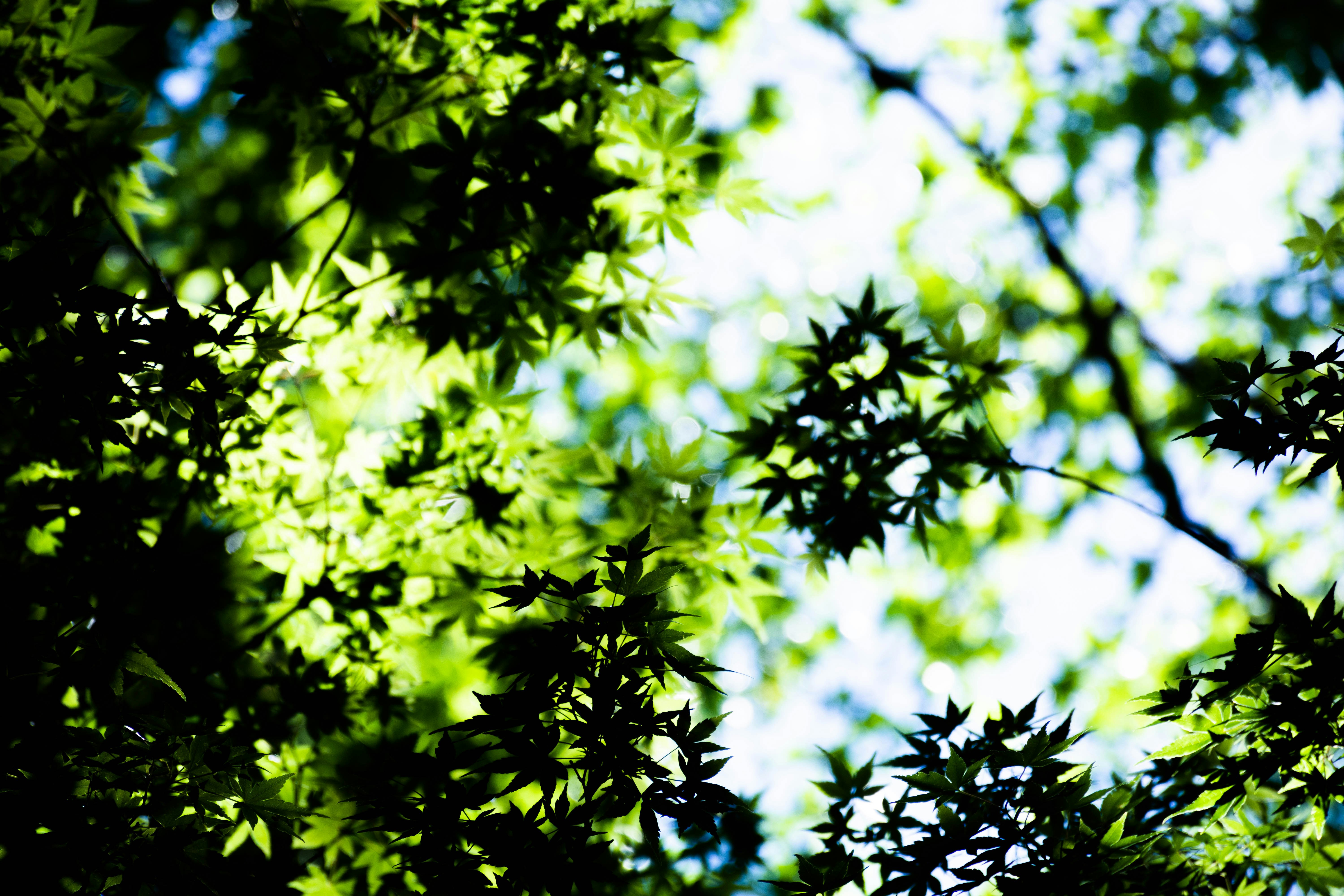 Photo by lucasgwendt