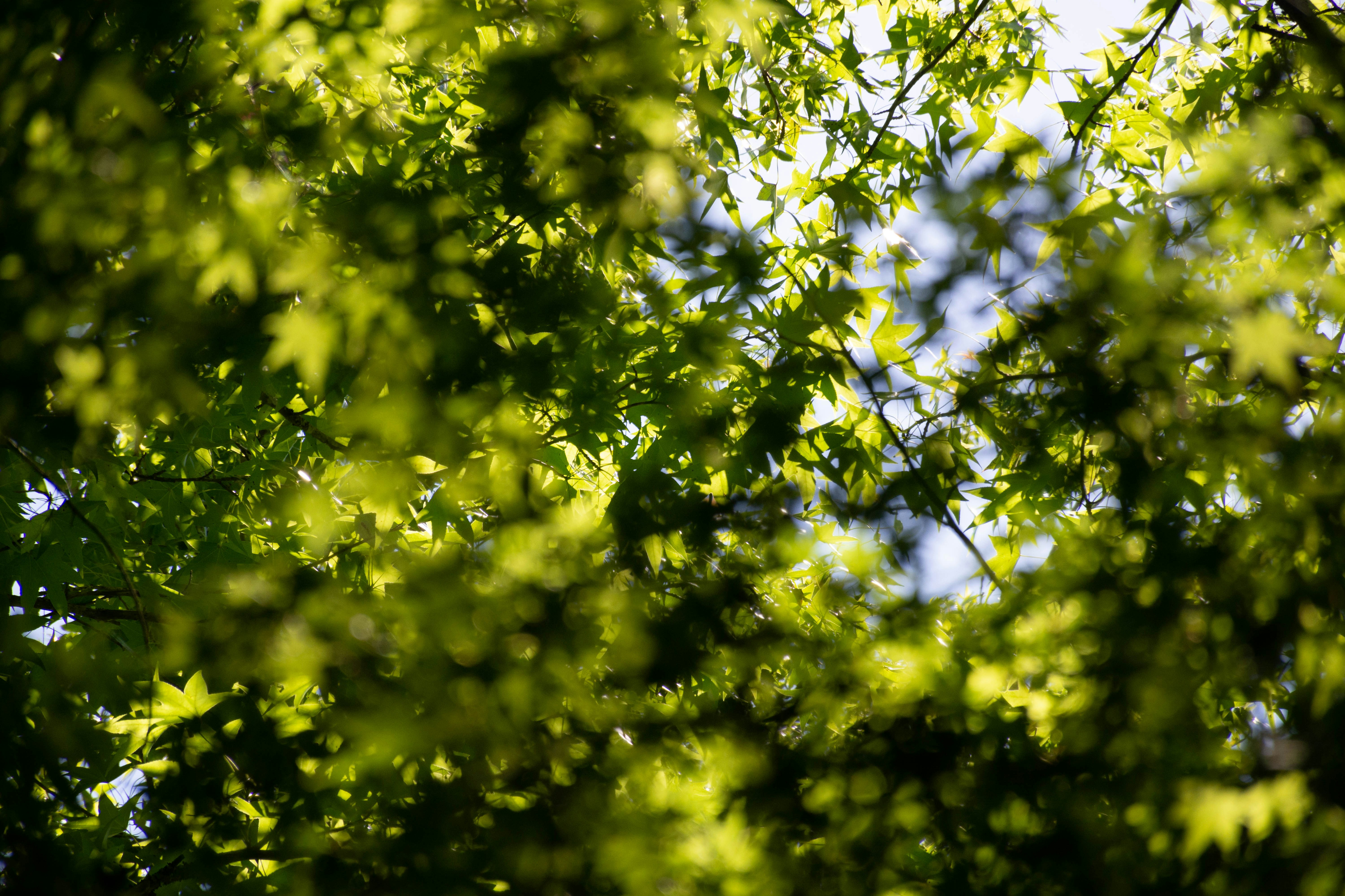 Photo by lucasgwendt