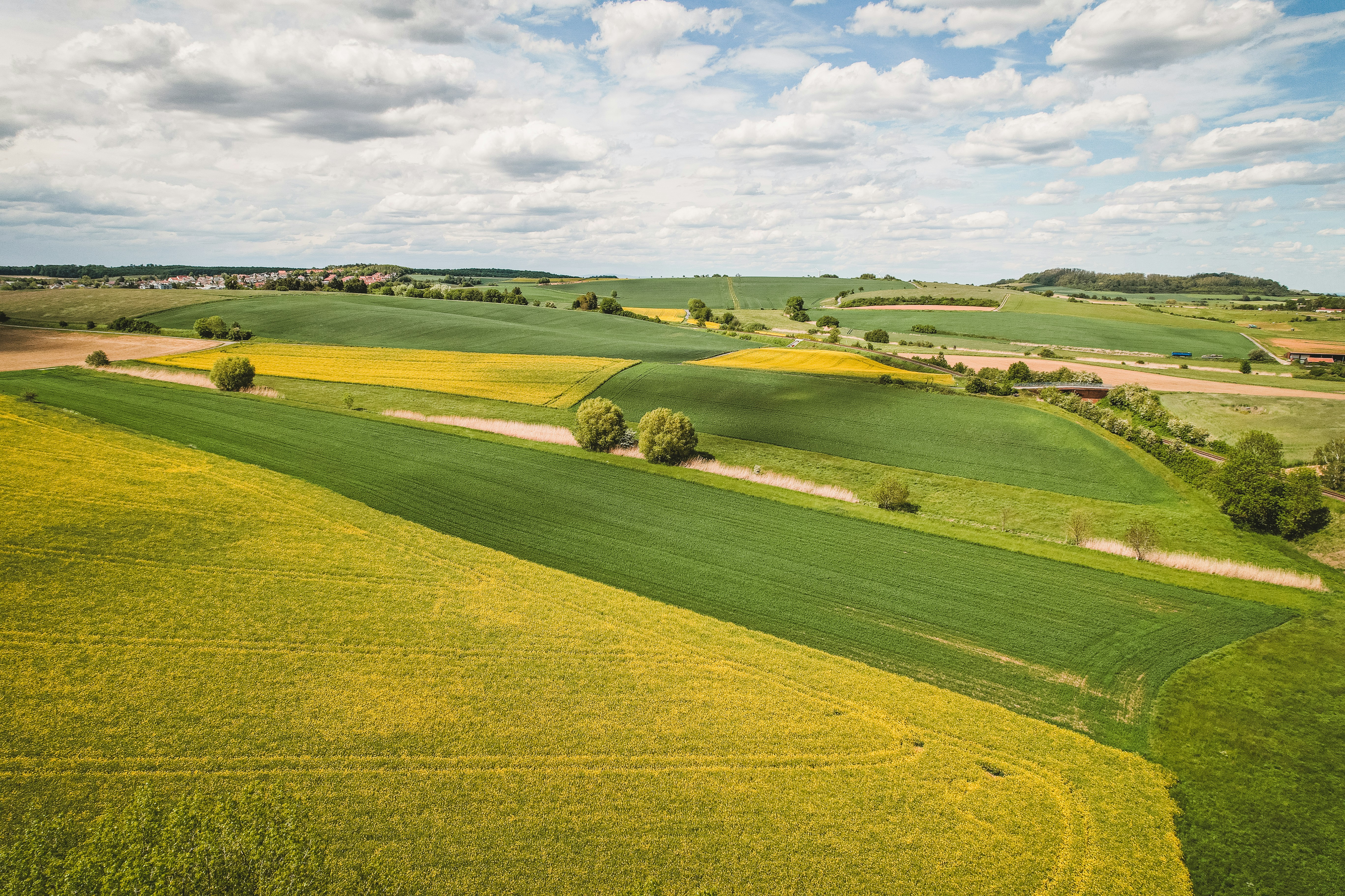 Photo by timonreinhard