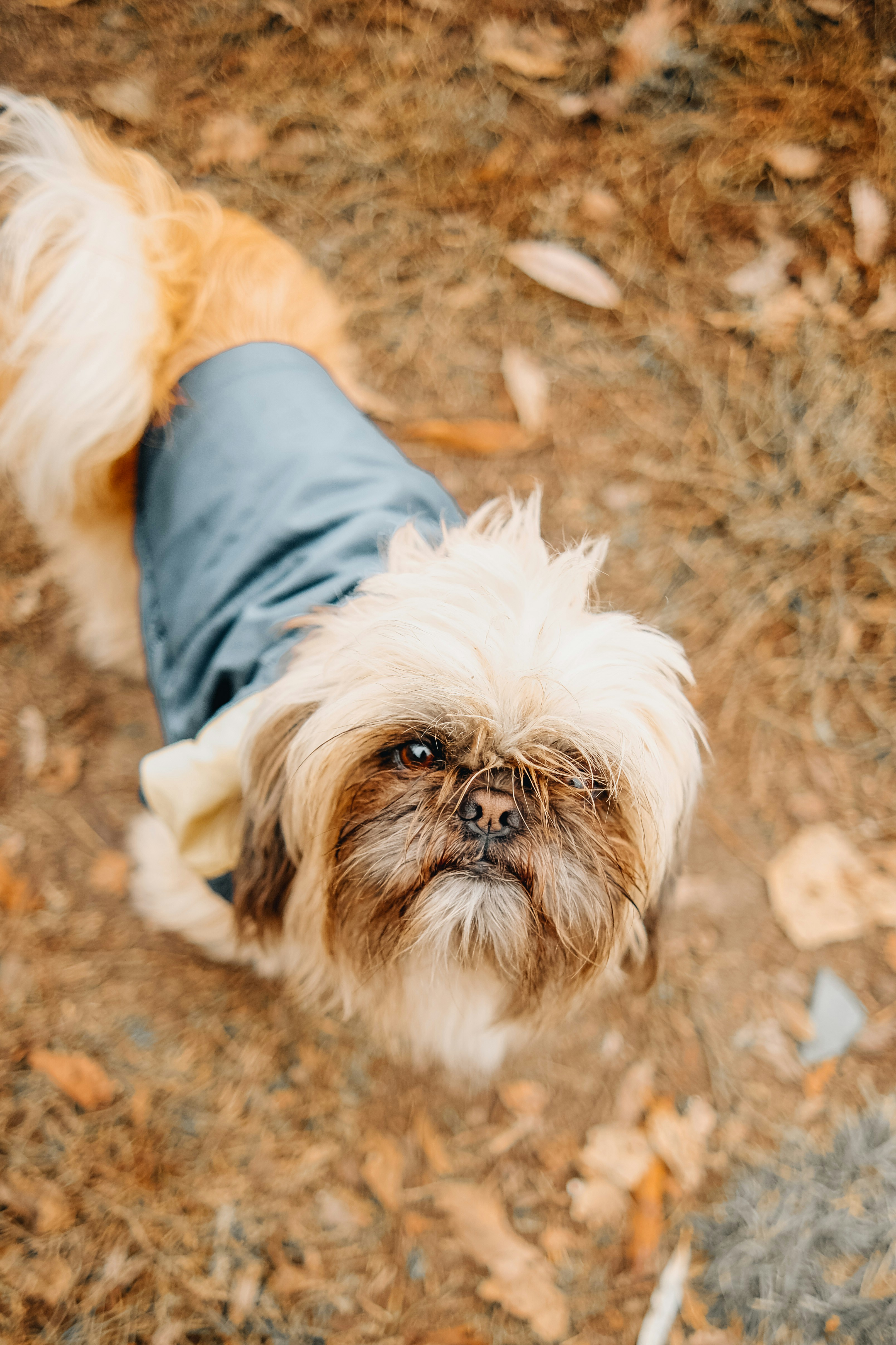 Photo by juliablumberg