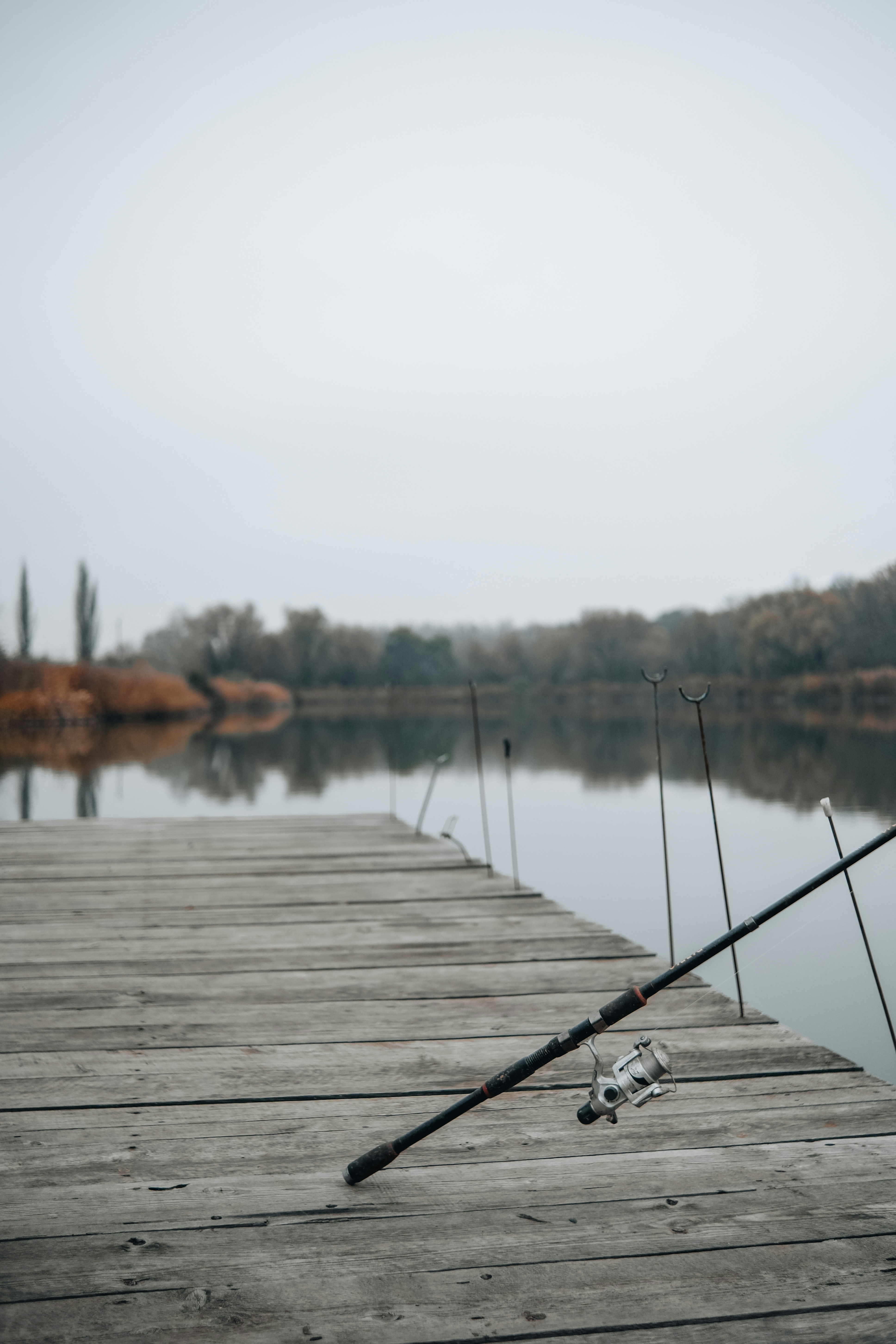 Photo by juliablumberg