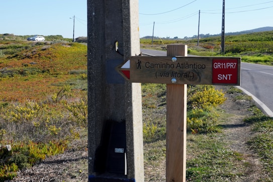 A wooden directional signpost for the 'Caminho Atl&acirc;ntico (via litoral)' is positioned near a concrete utility pole beside a rural road. The surrounding landscape features green and orange vegetation, and a parked white car is visible on a distant hill. The road is lined with telephone poles extending into the background.