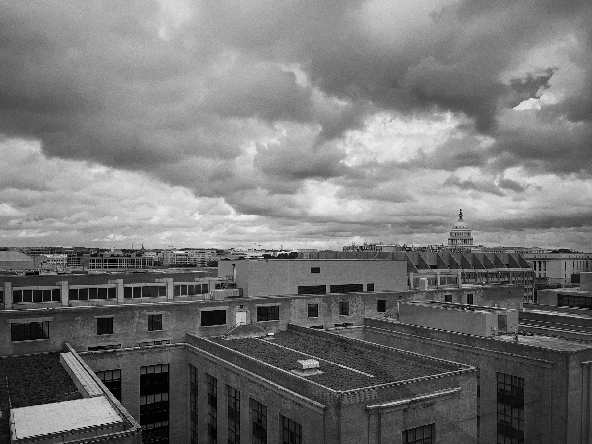 black and white bed linen