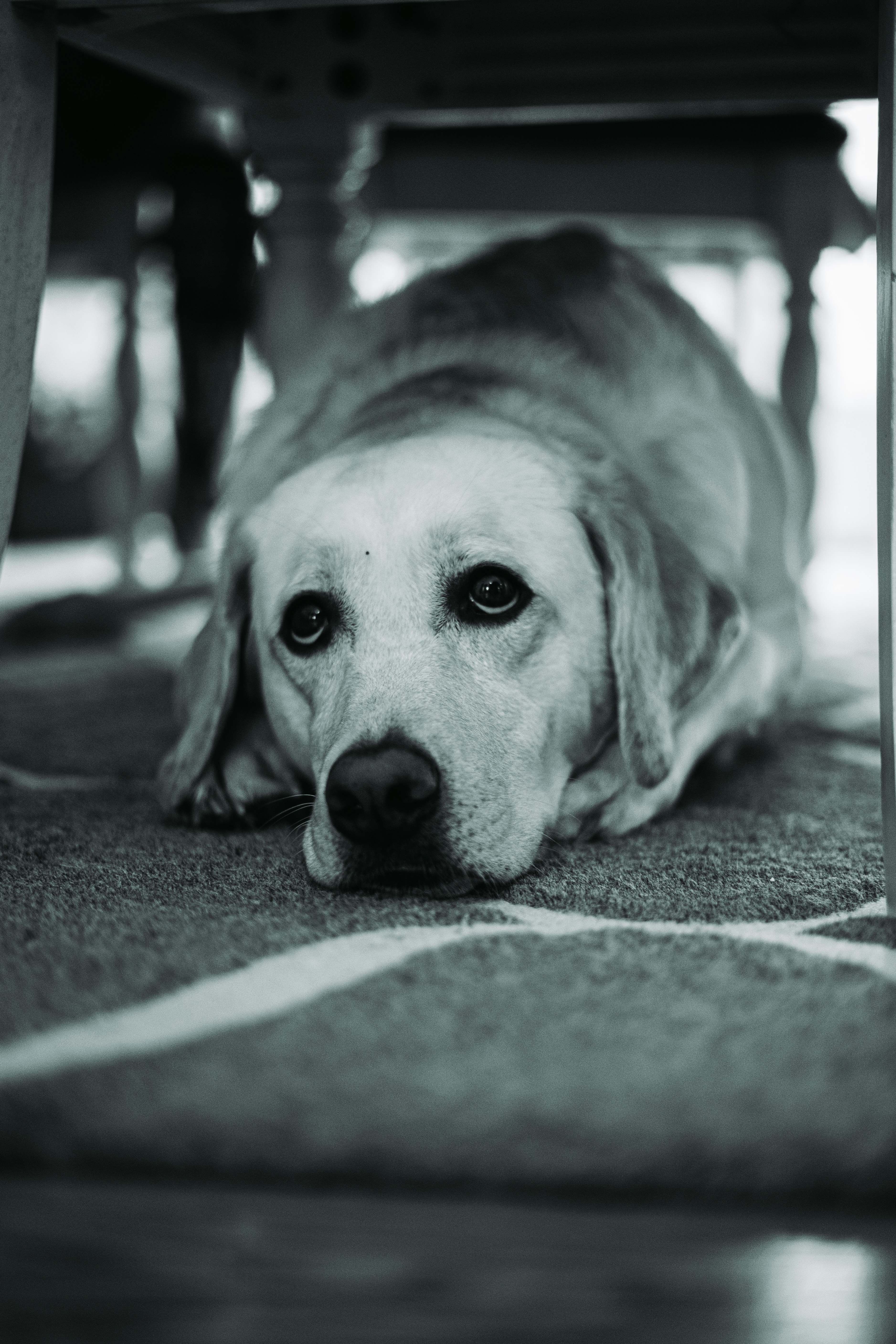 Photo by chrishardyphotography