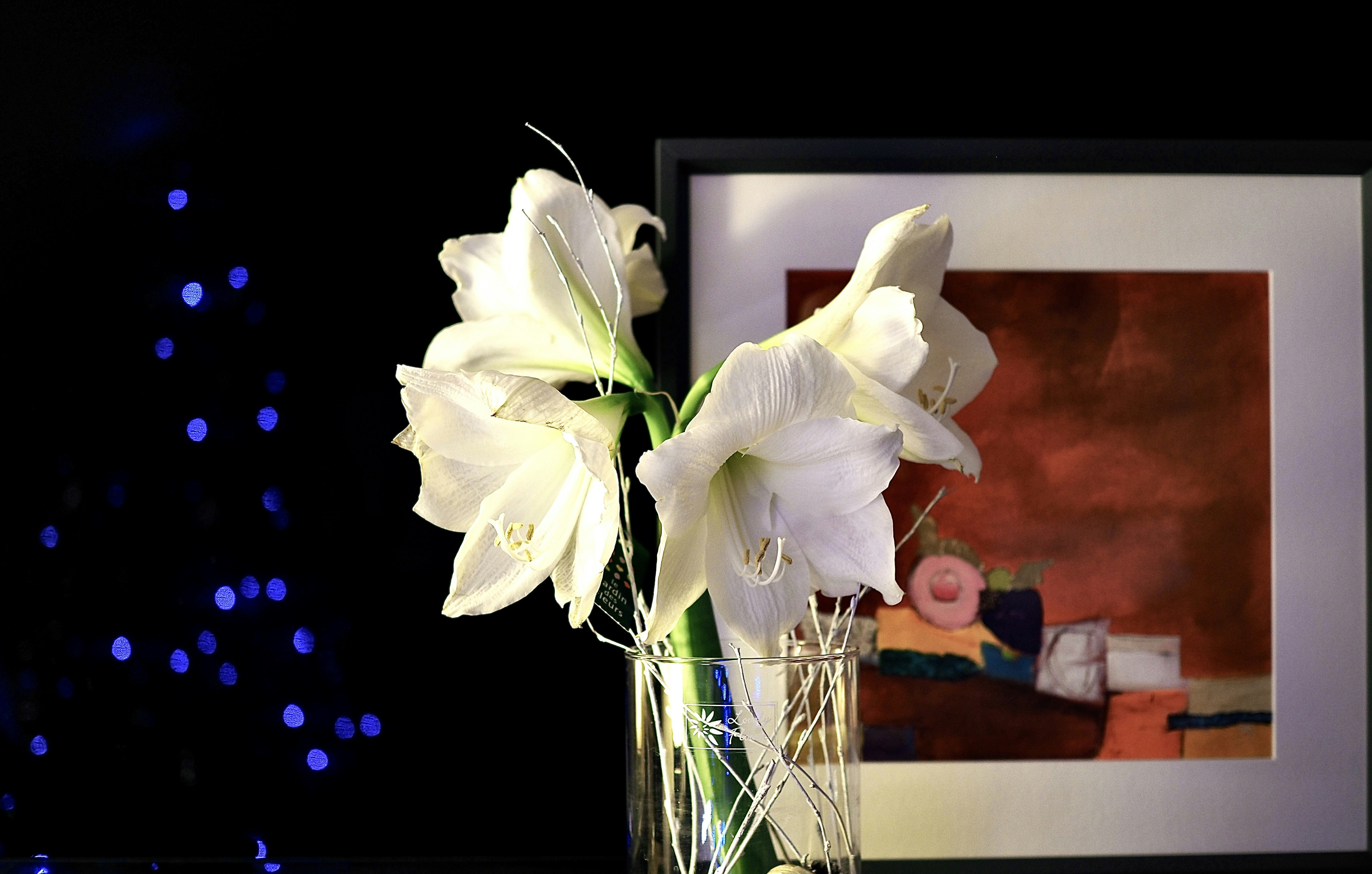 un vase avec des fleurs blanches sur une table