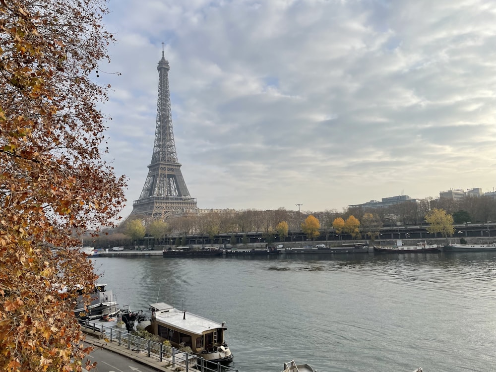 the eiffel tower towering over the city of paris