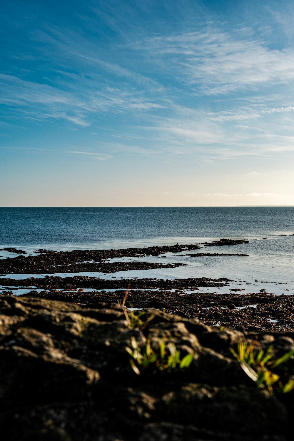 a person riding a surfboard on a rocky beach