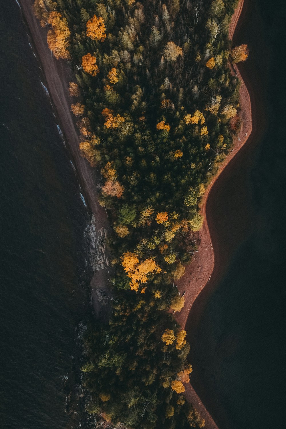 uma vista aérea de um corpo de água cercado por árvores