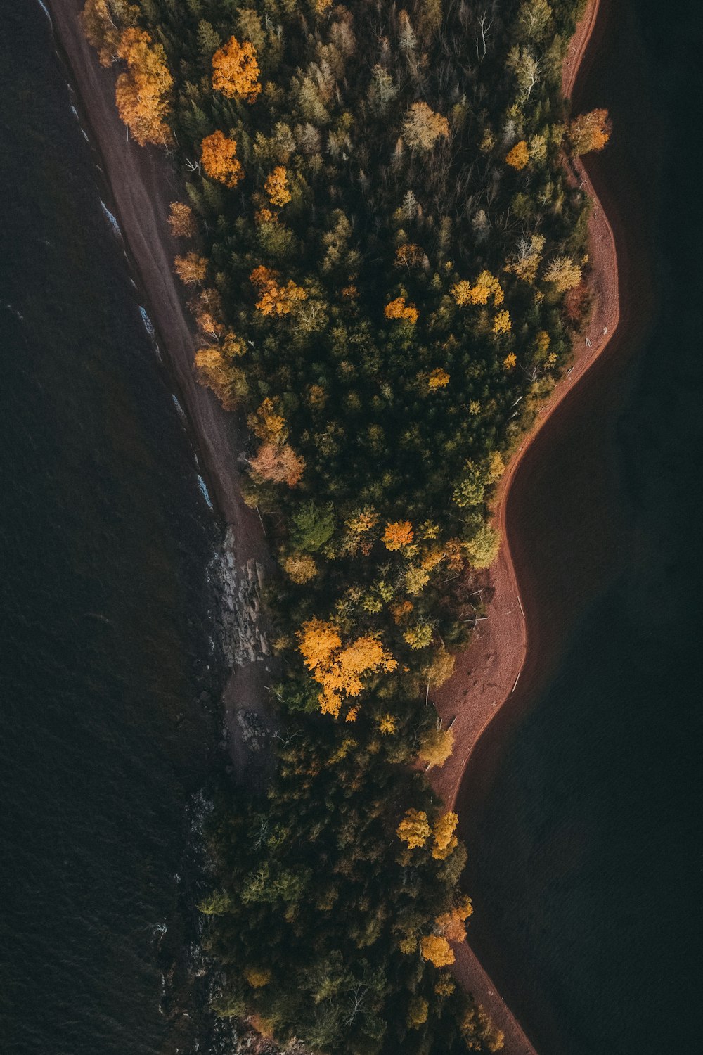 an aerial view of a body of water surrounded by trees