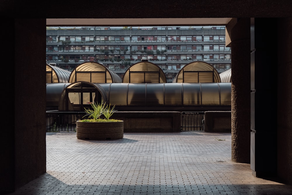 un patio con bancos y plantas en él