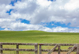 A rustic farm fence stretching across a green pasture under a clear sky.