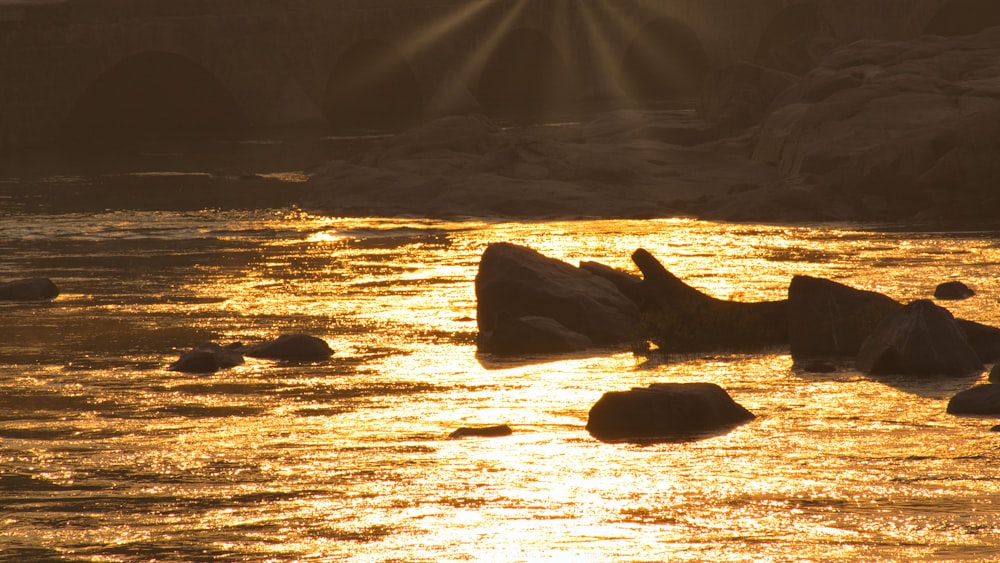 a body of water with rocks and a bridge in the background