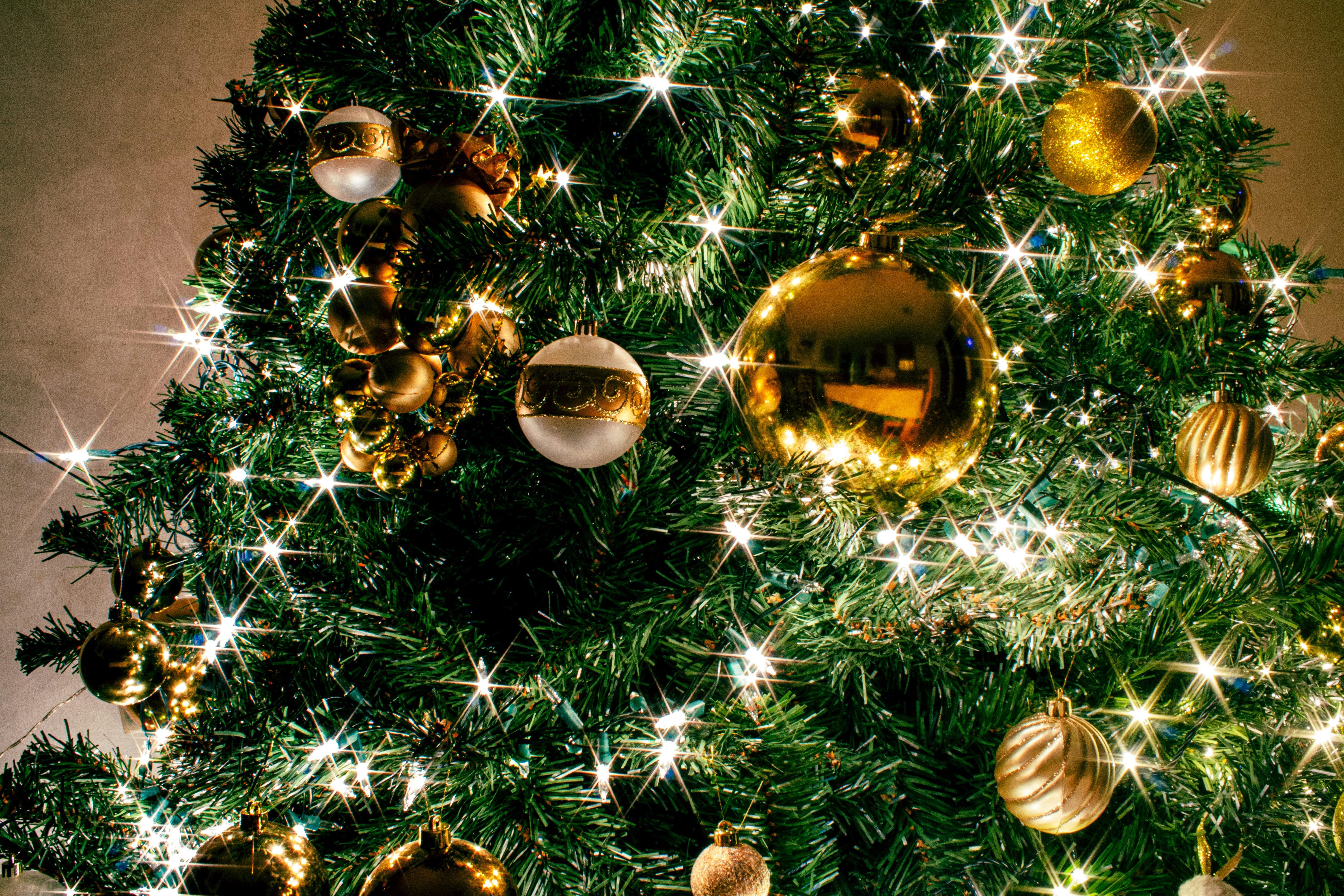 Unsplashで見つけるキトの無料写真