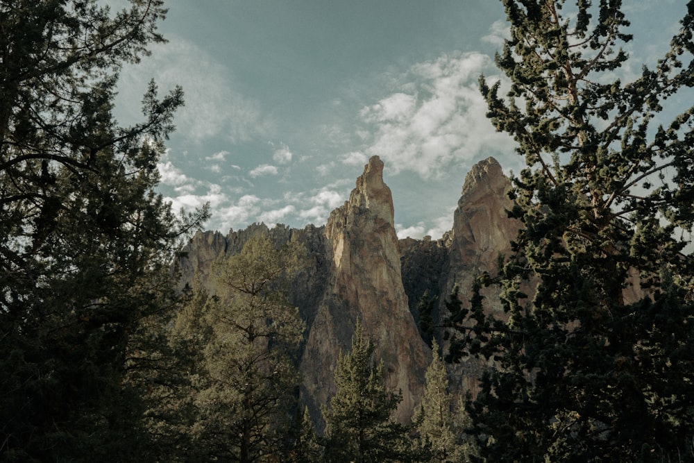 a view of a mountain range through the trees