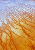 Vibrant orange and white mineral deposits create intricate patterns resembling veins or river formations, likely in a geothermal area. The surface is textured, and the swirling patterns have a dynamic, almost organic flow.