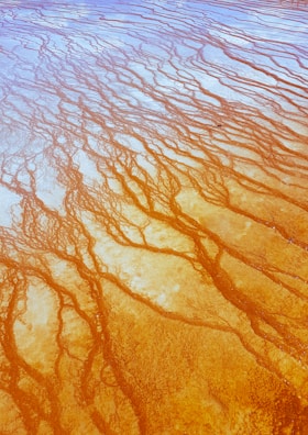 Vibrant orange and white mineral deposits create intricate patterns resembling veins or river formations, likely in a geothermal area. The surface is textured, and the swirling patterns have a dynamic, almost organic flow.