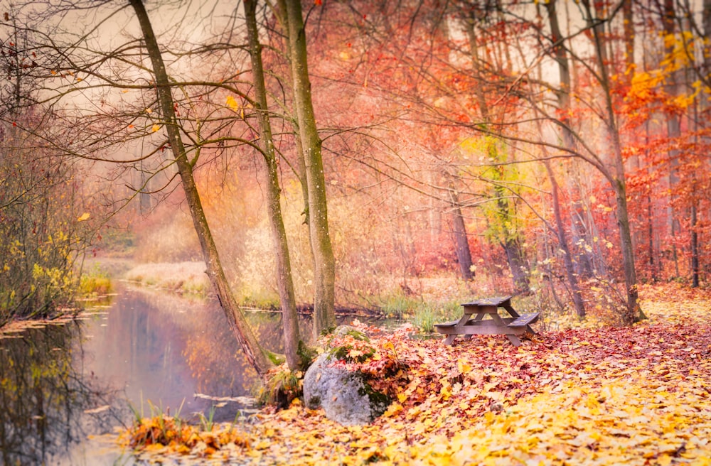 a park bench sitting on top of a pile of leaves