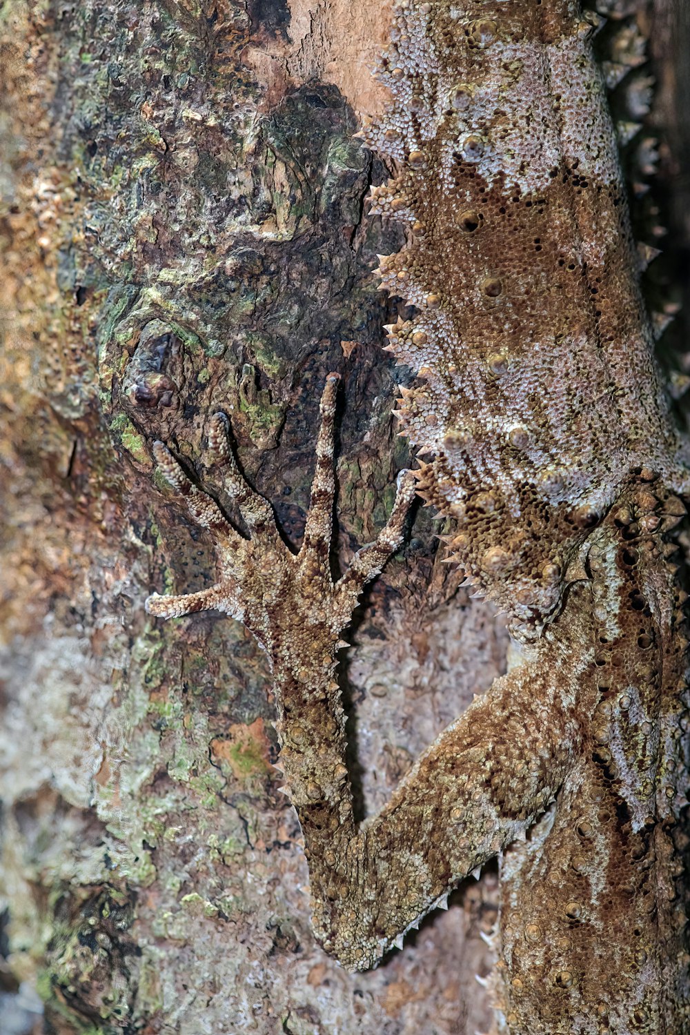 a close up of the bark of a tree