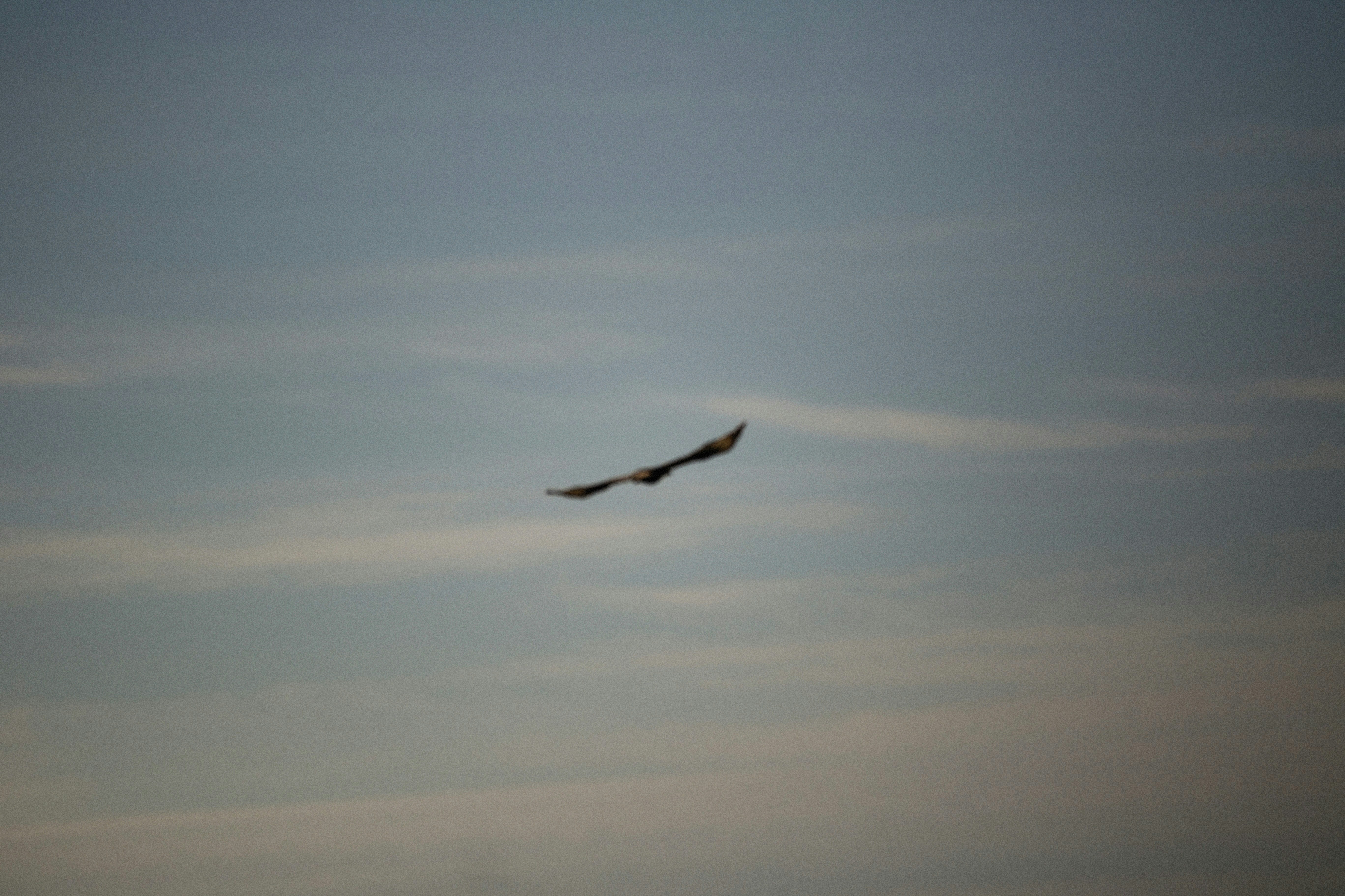 Photo by alexeydemidov