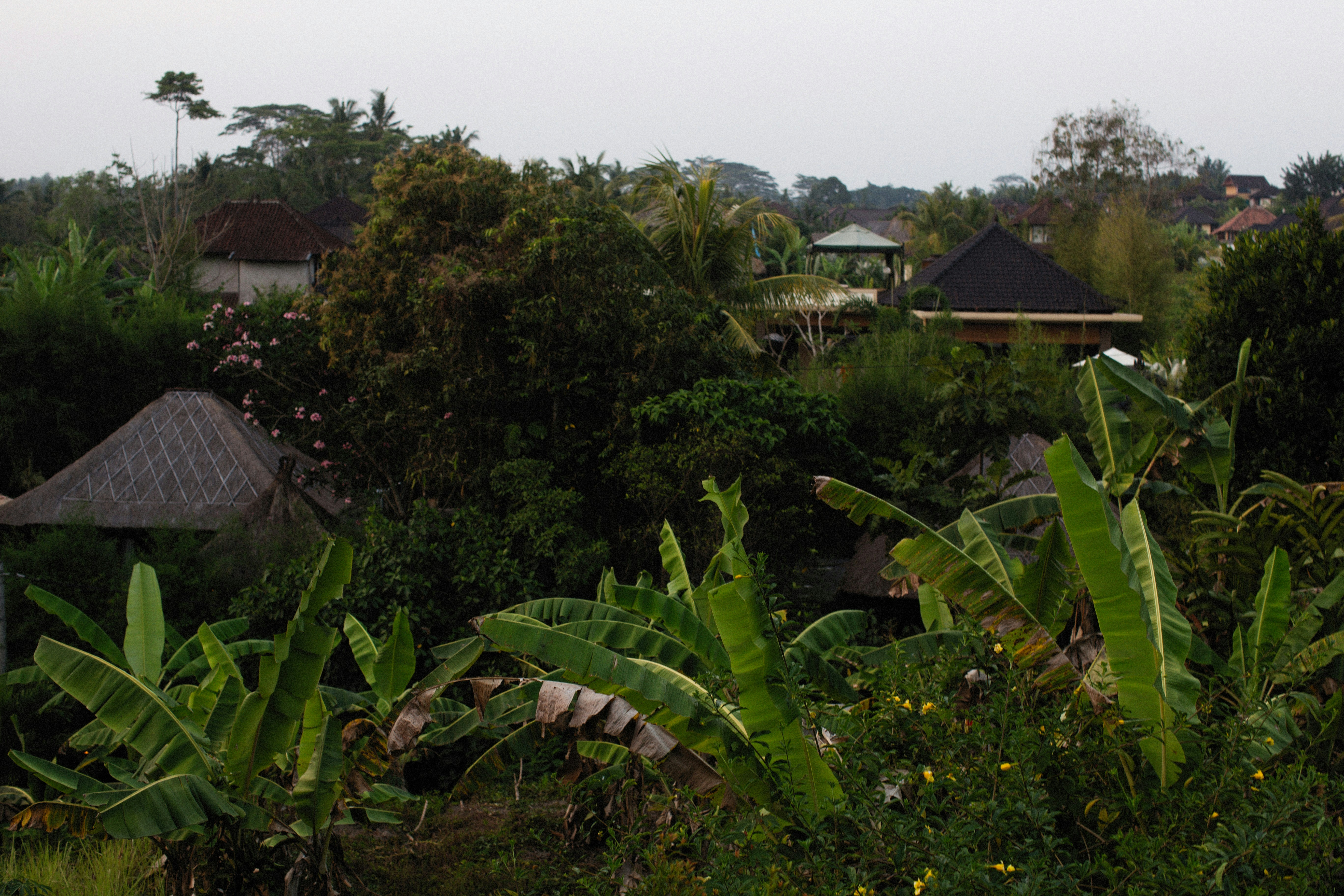 Photo by alexeydemidov