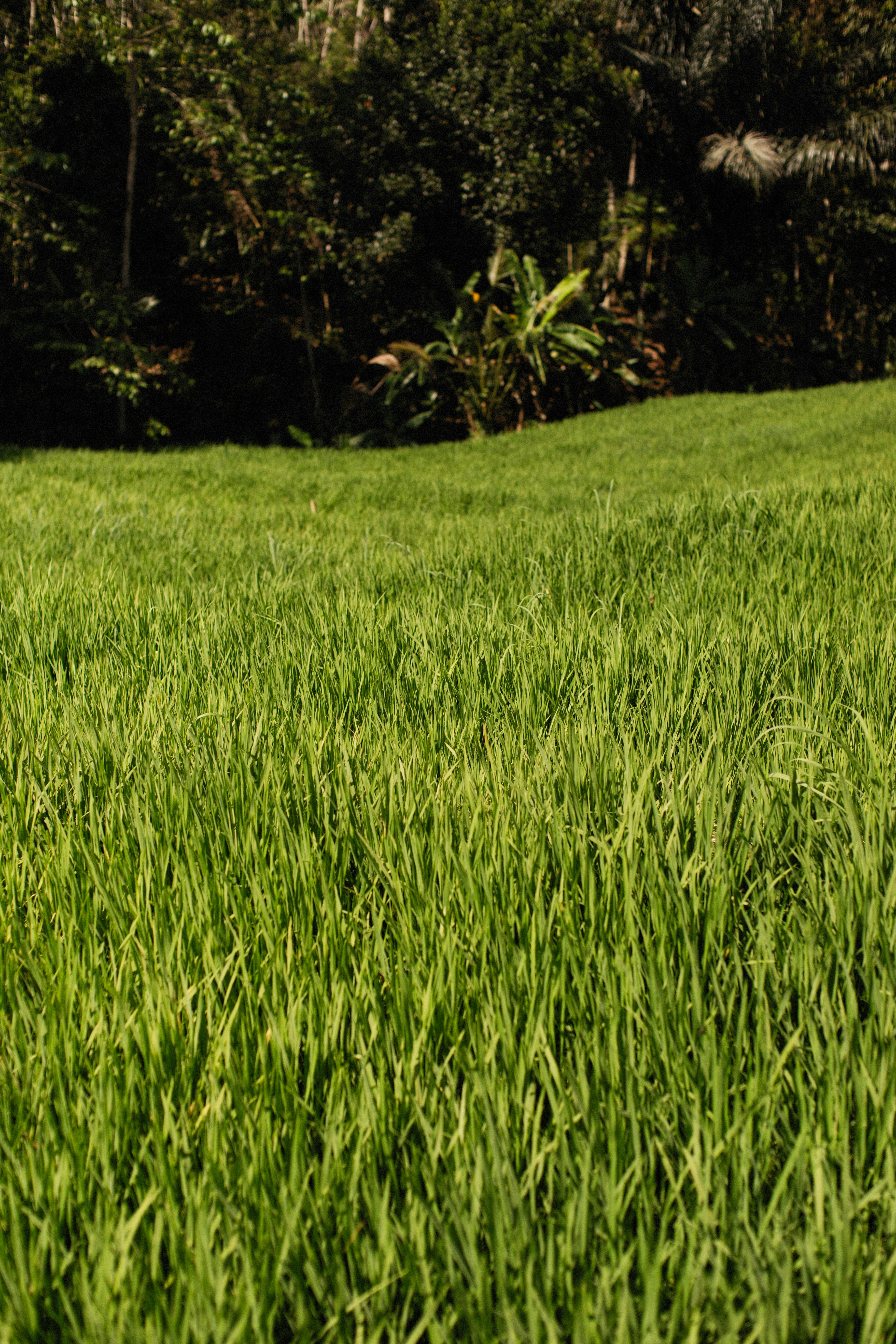 Photo by alexeydemidov