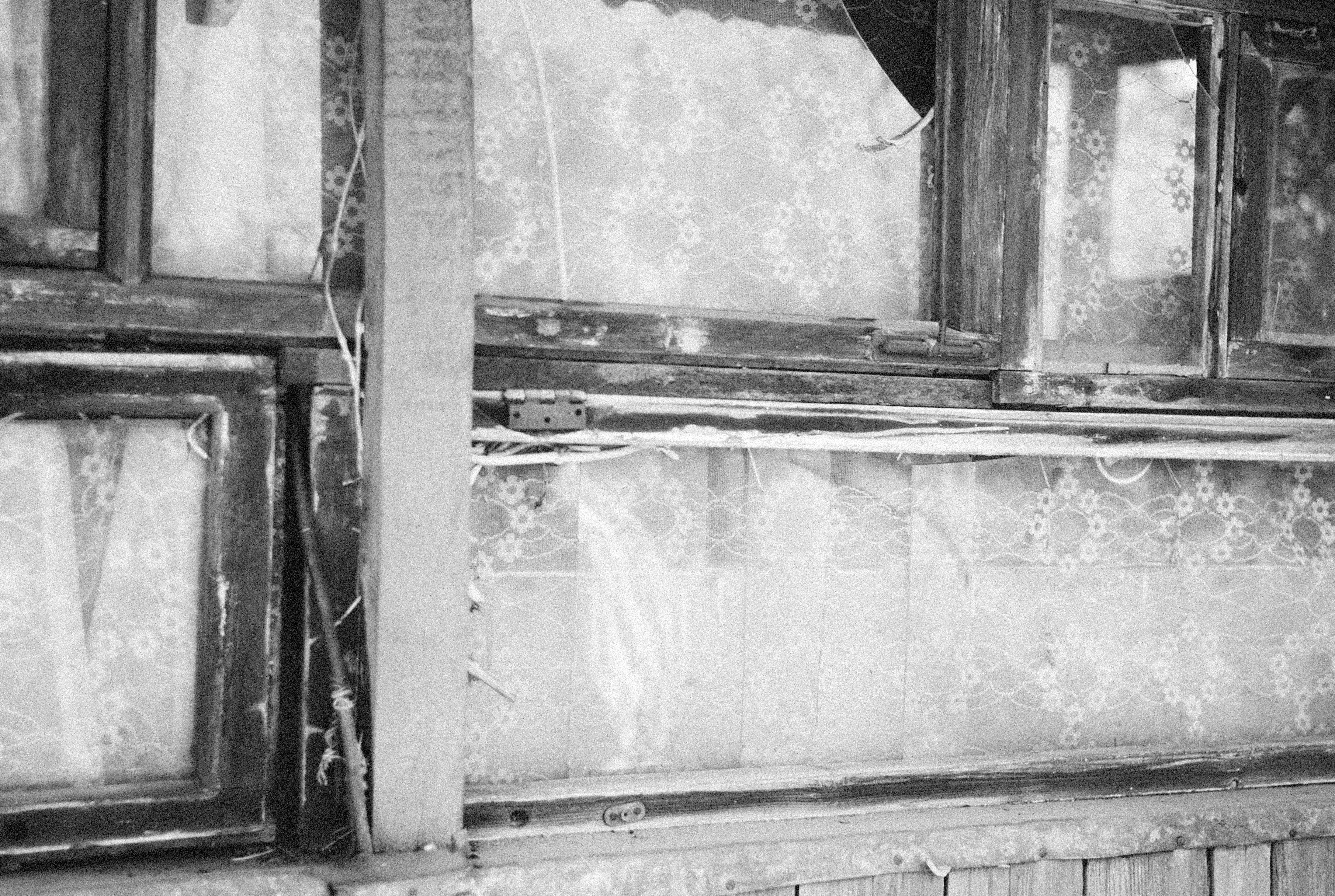 Photo by alexeydemidov