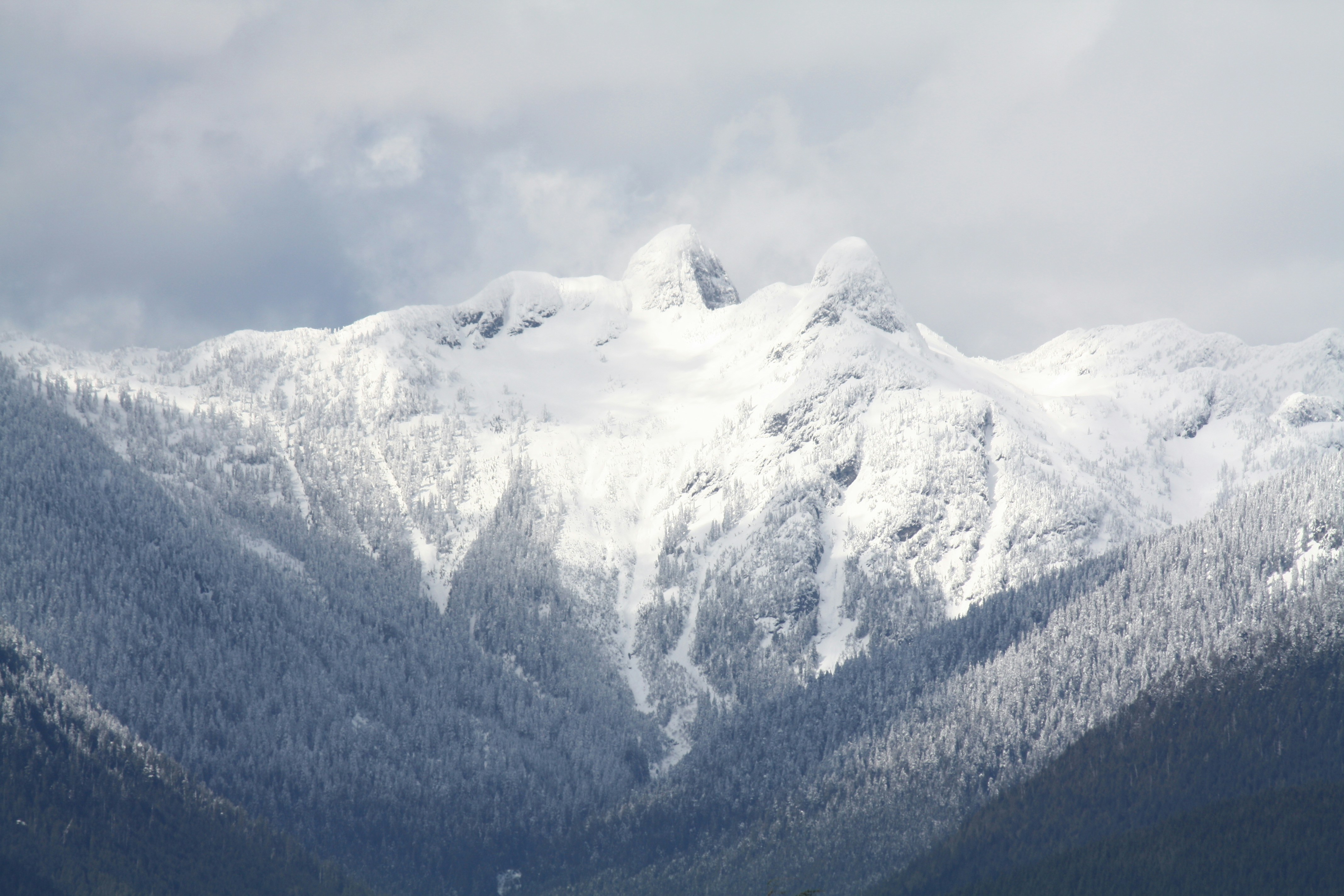 Photo by mikeware_tena