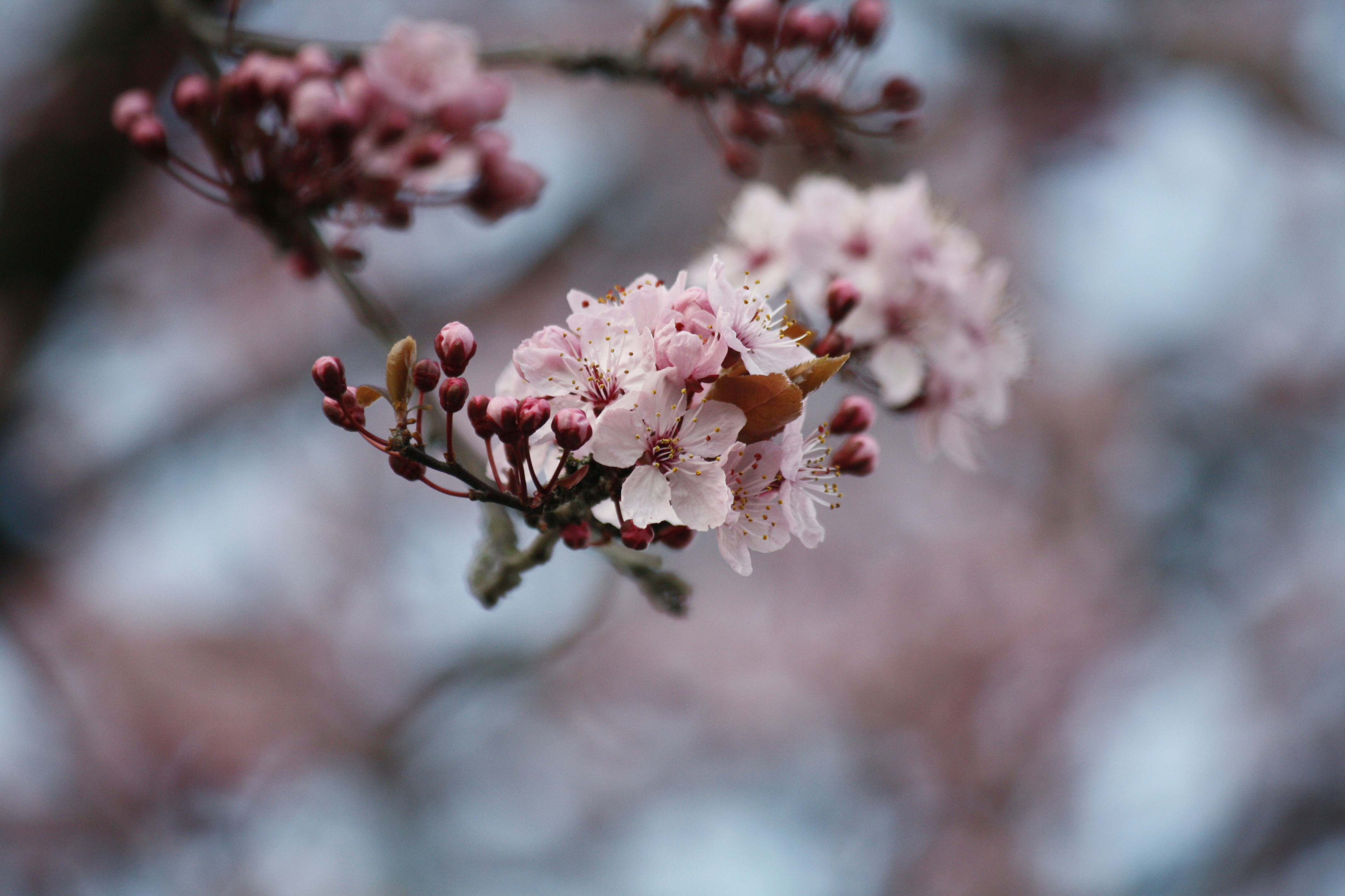 Photo by mikeware_tena