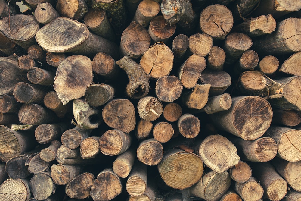 a pile of cut logs stacked on top of each other