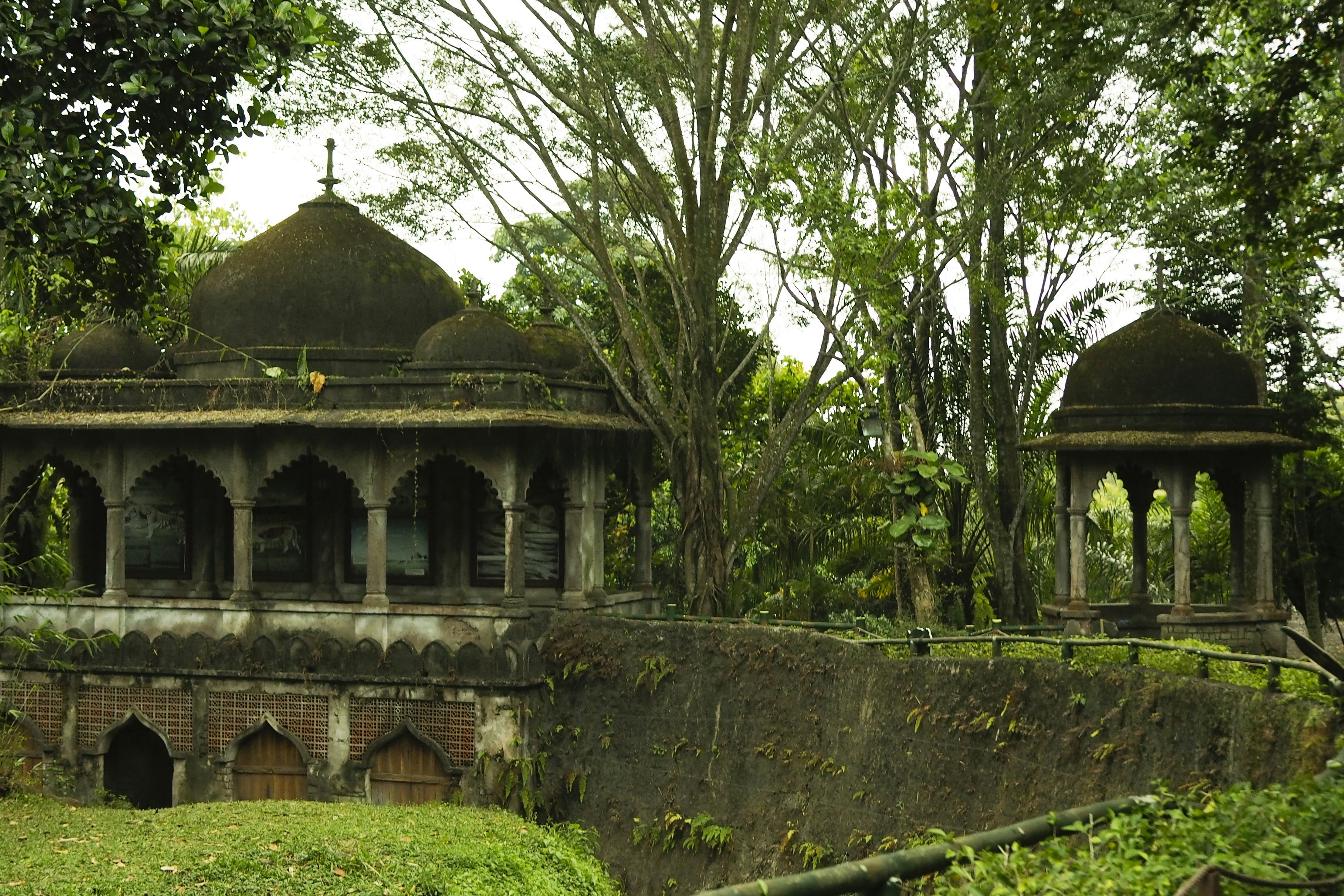 Photo by rintowicaksono