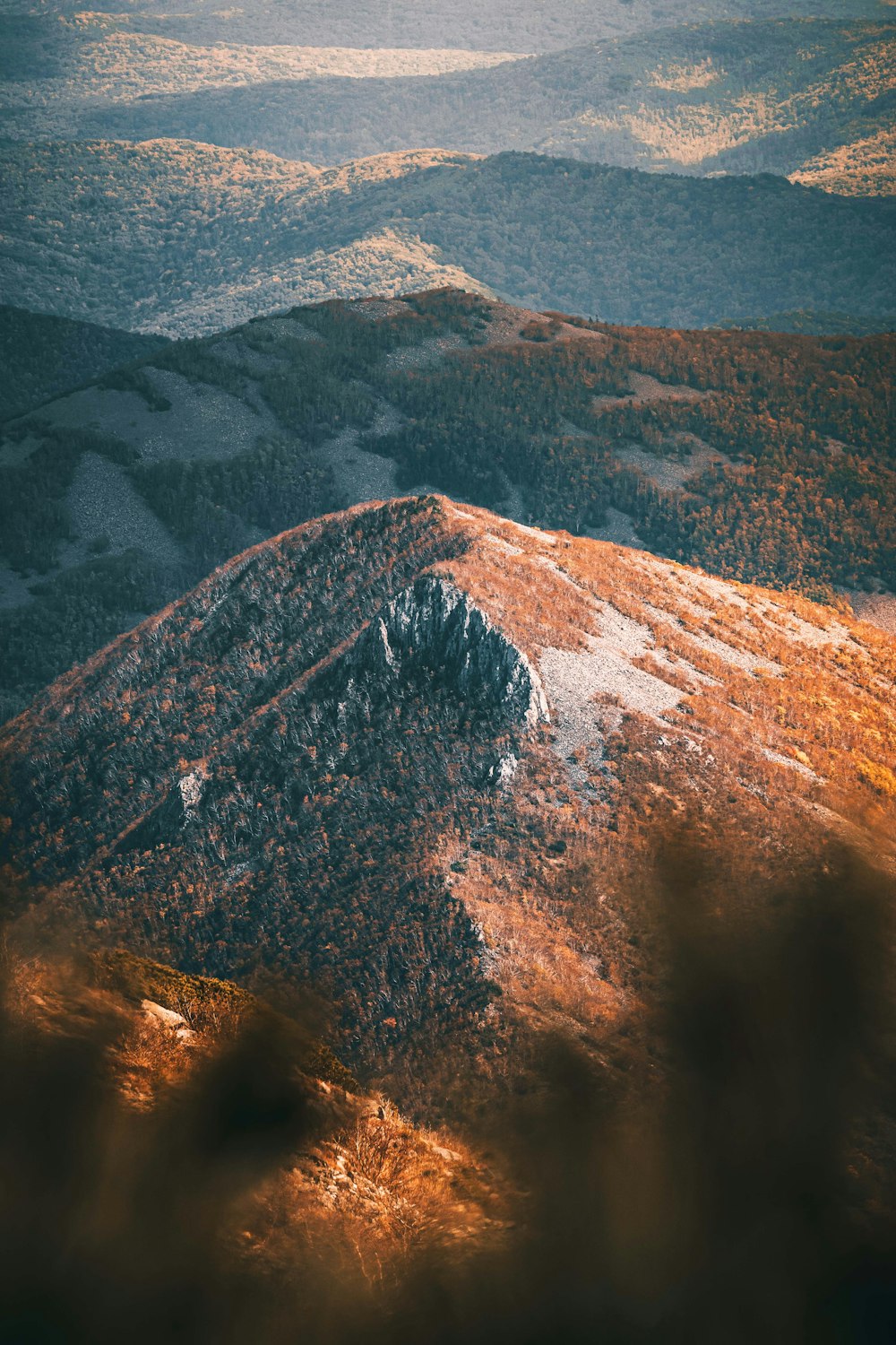 an aerial view of a mountain range with trees in the foreground